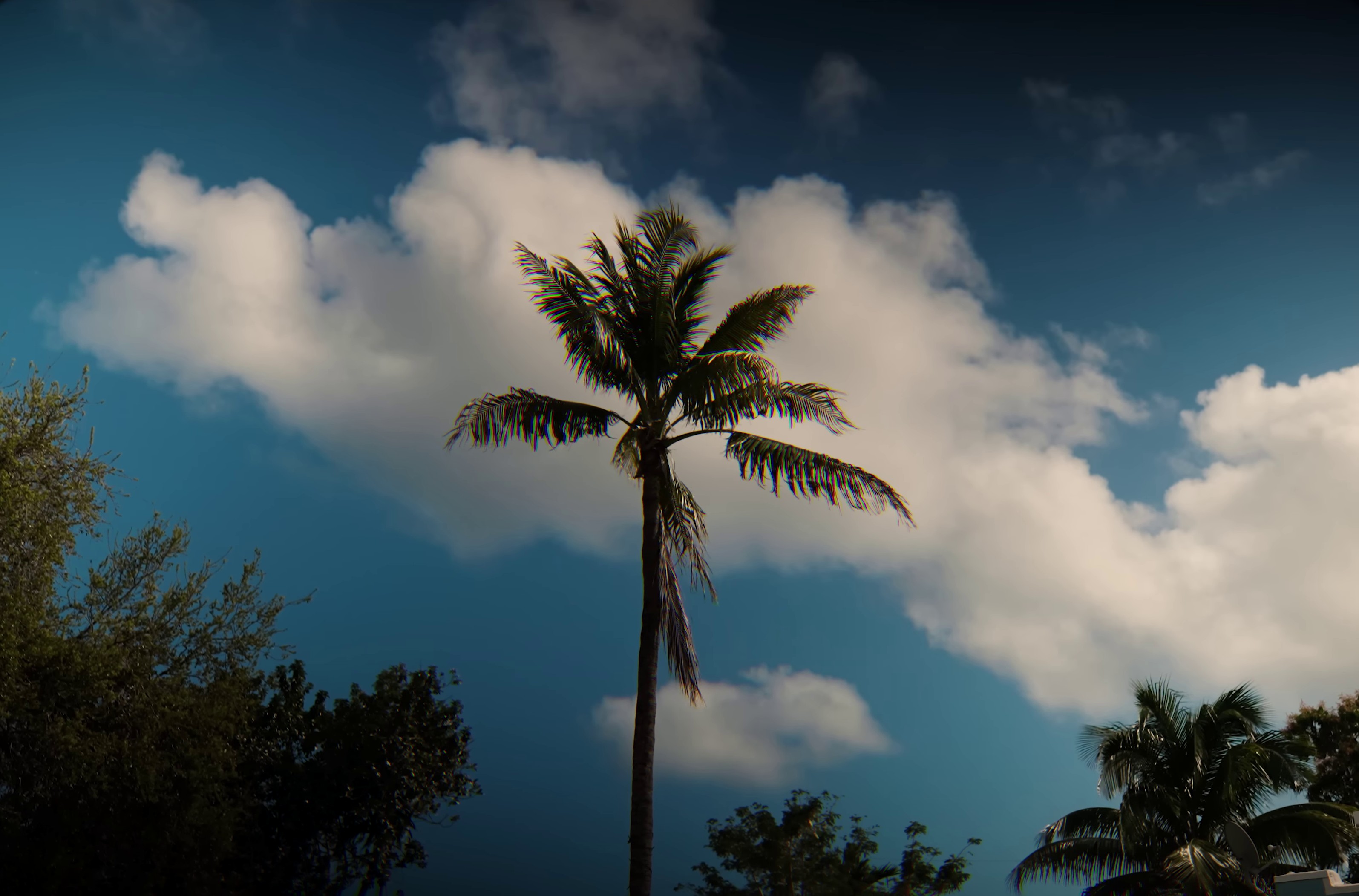 Poulailler  (2023) —  shot,  lighting