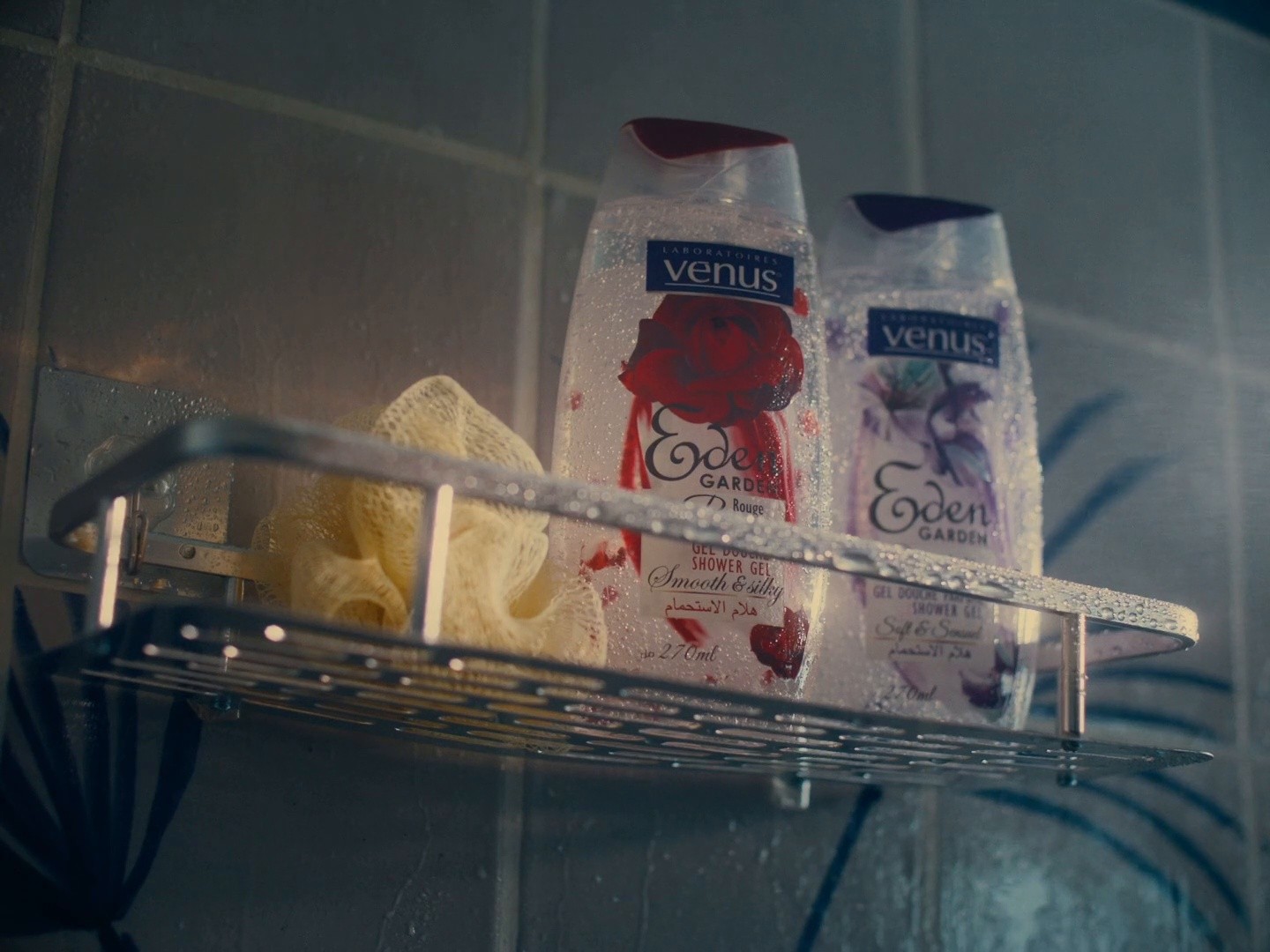 Vénus - Eden Garden (DC) (2024) —  shot,  lighting