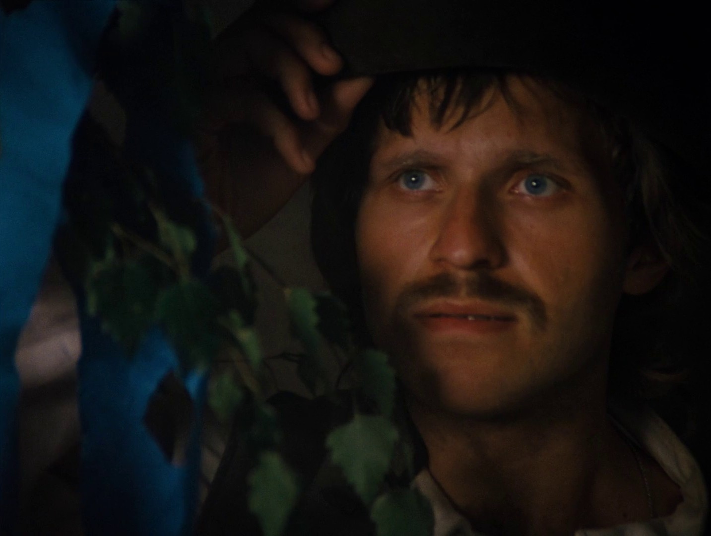 The Millennial Bee (1984) —  shot,  lighting