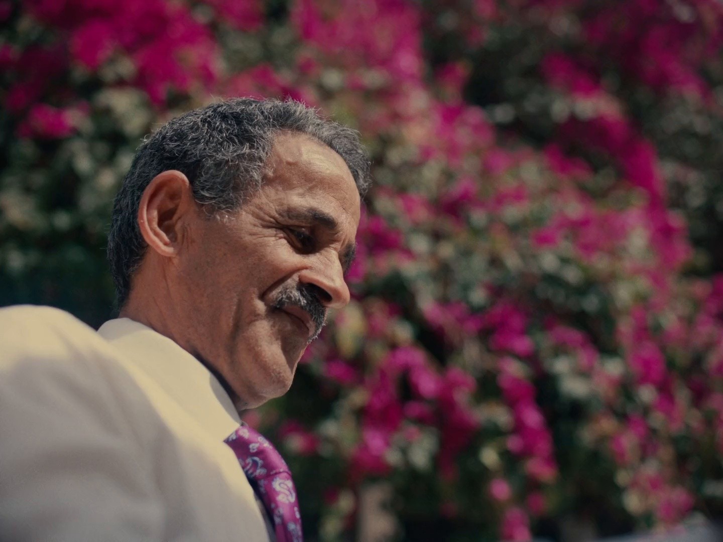 Vénus - Eden Garden (DC) (2024) —  shot,  lighting