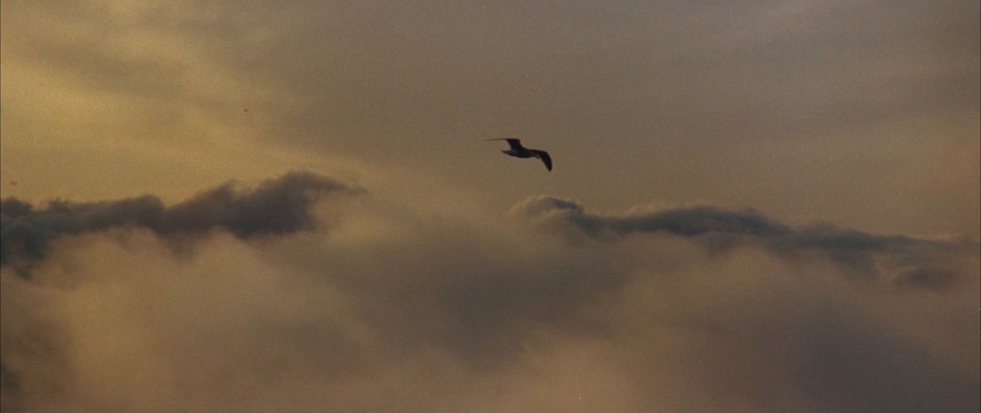 Jonathan Livingston Seagull (1973) —  shot,  lighting