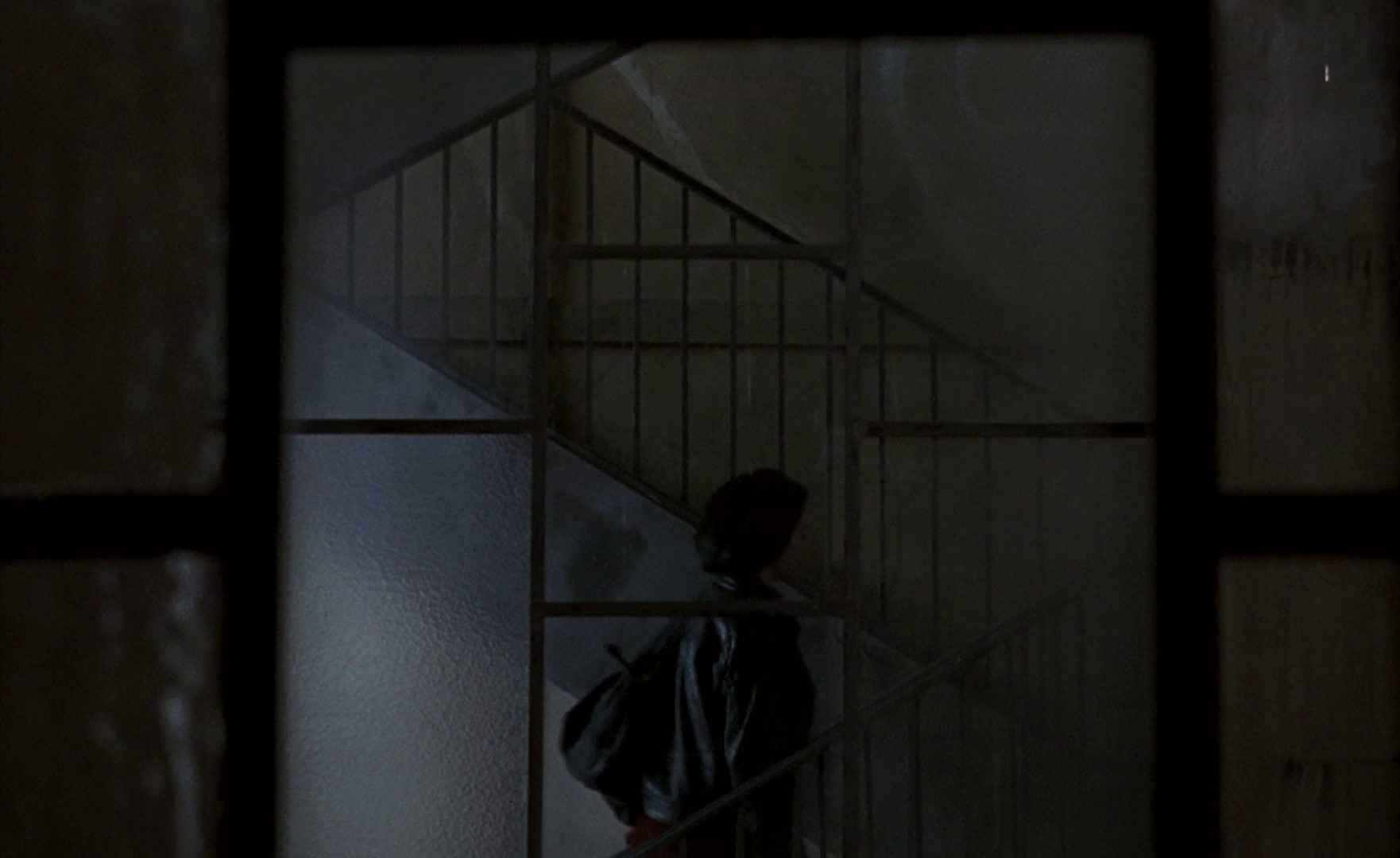 The Apartment (1999) —  shot,  lighting