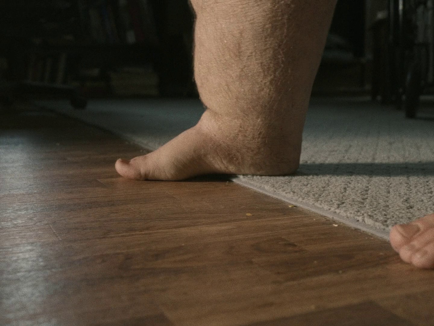 The Whale (2023) —  shot,  lighting