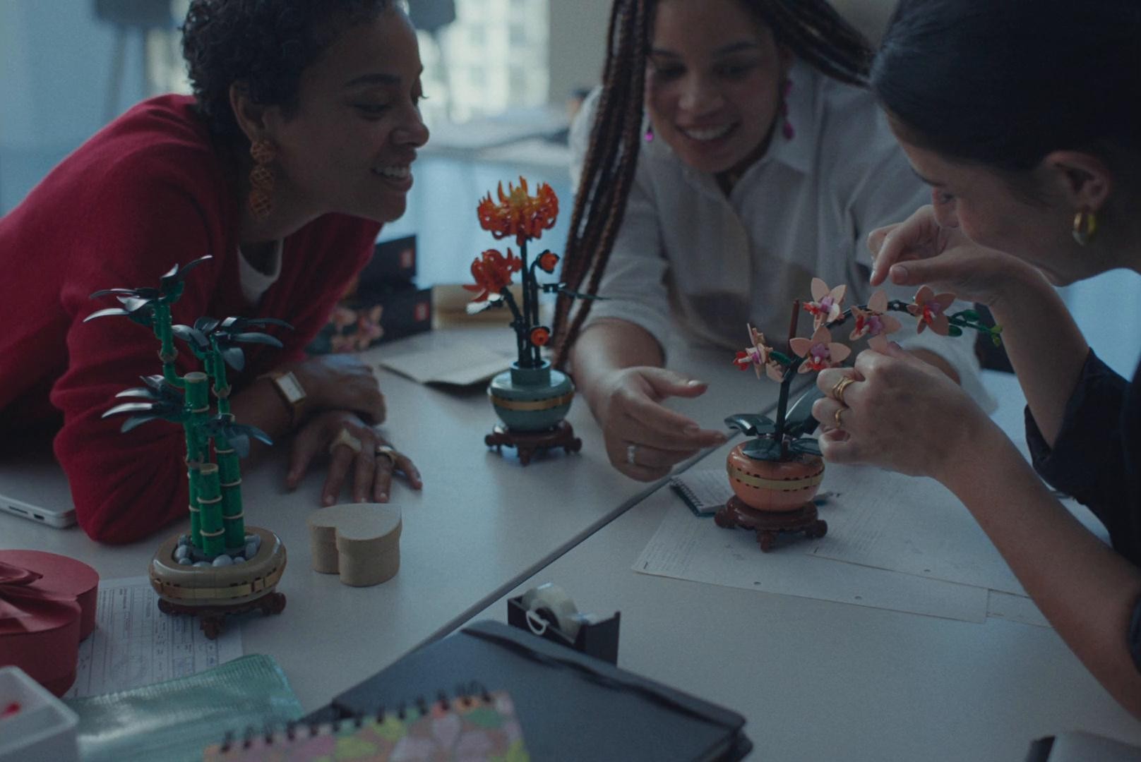 LEGO BOTANICALS: "Valentines Blooms For All" (2025) —  shot,  lighting