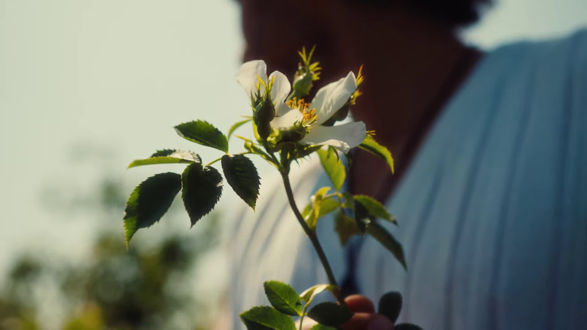 When I'm Back (2023) —  shot,  lighting