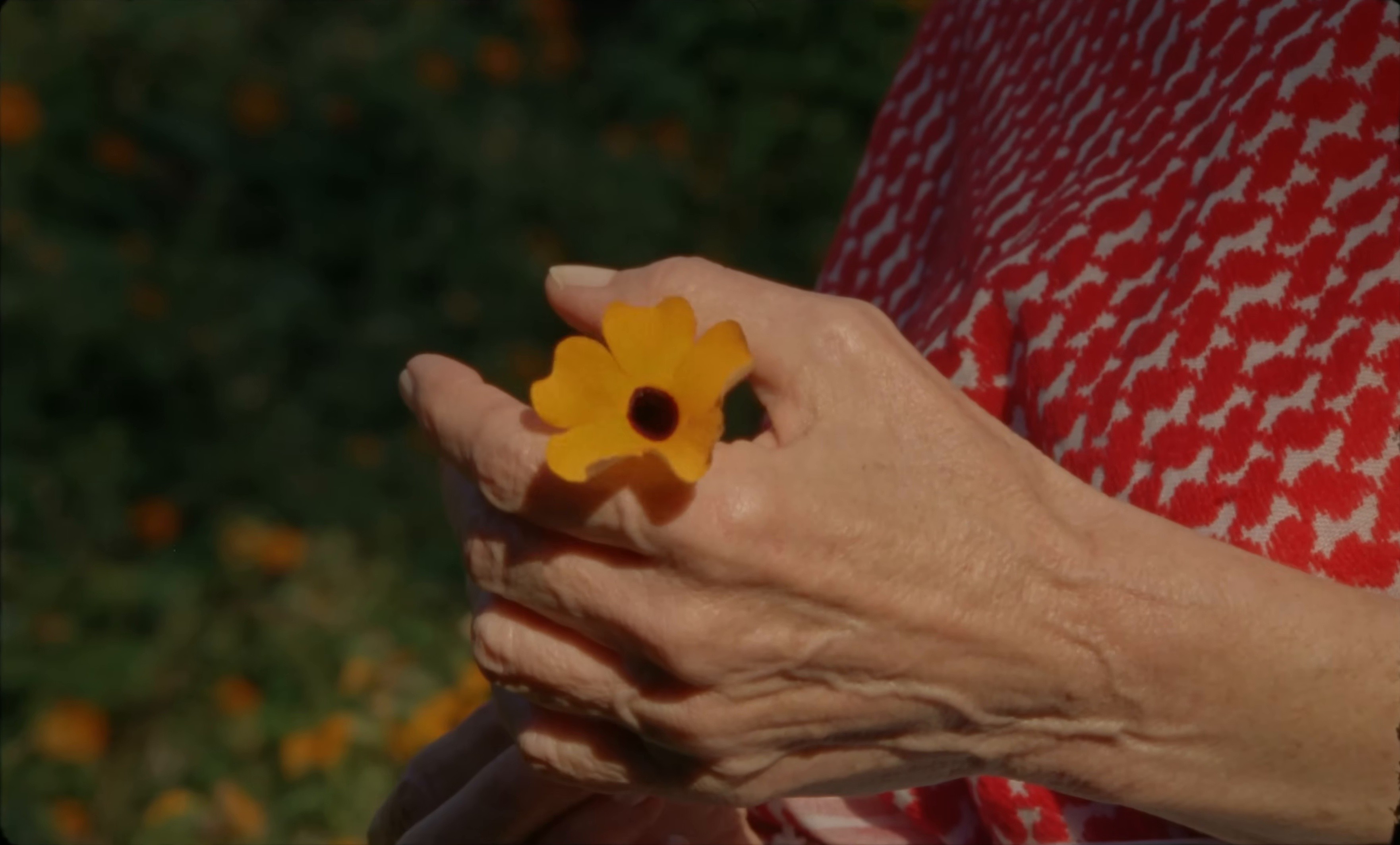 No Es Igual (2025) —  shot,  lighting