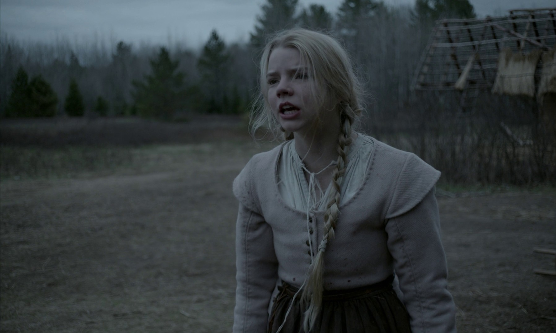 The Witch (2015) —  shot,  lighting