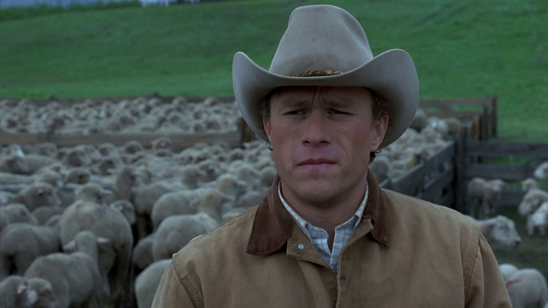 Brokeback Mountain (2005) —  shot,  lighting