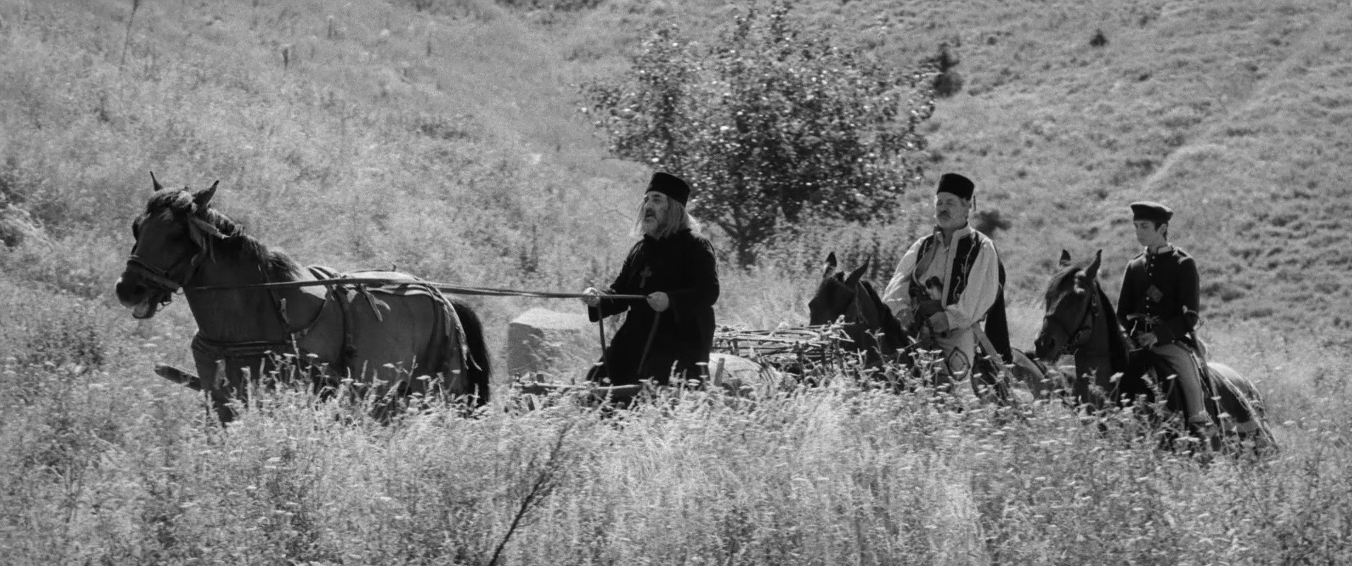 Aferim! (2015) —  shot,  lighting