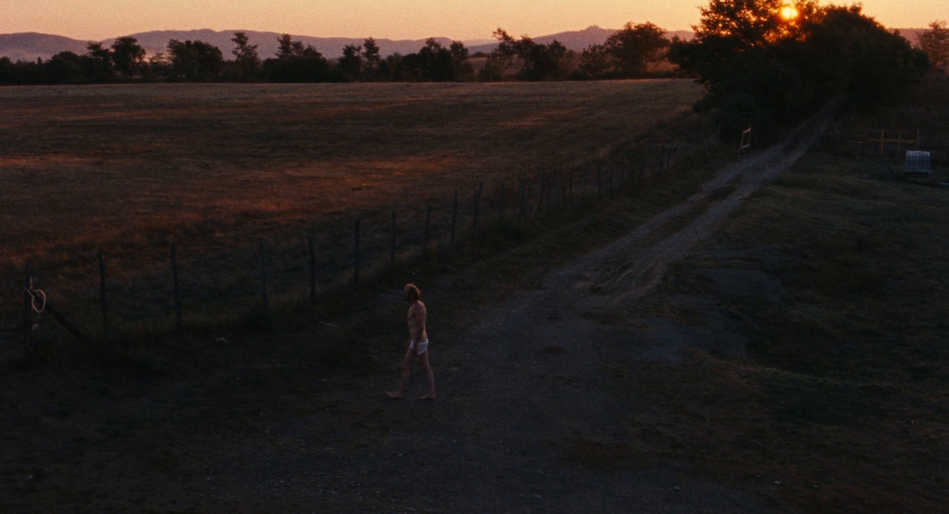 The Wonders (2014) —  shot,  lighting