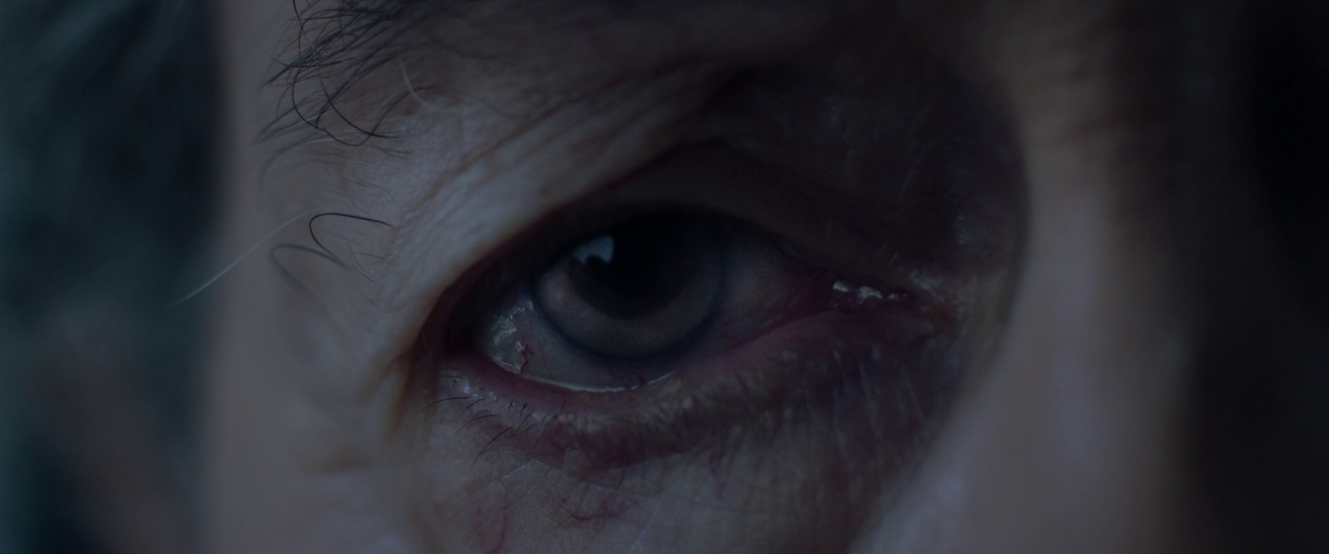 Consecration (2023) —  shot,  lighting