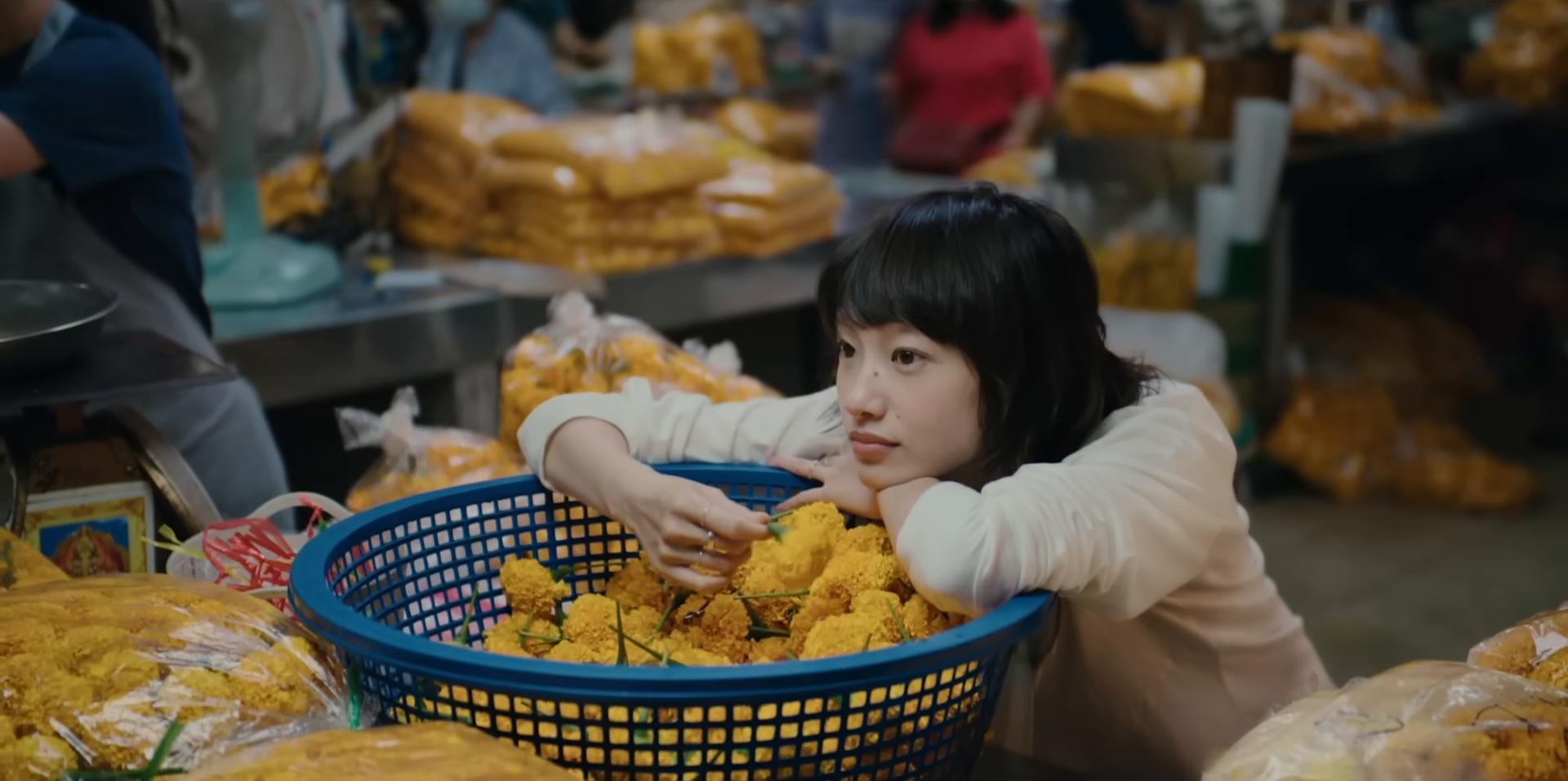 World End Girl Friend (2025) —  shot,  lighting