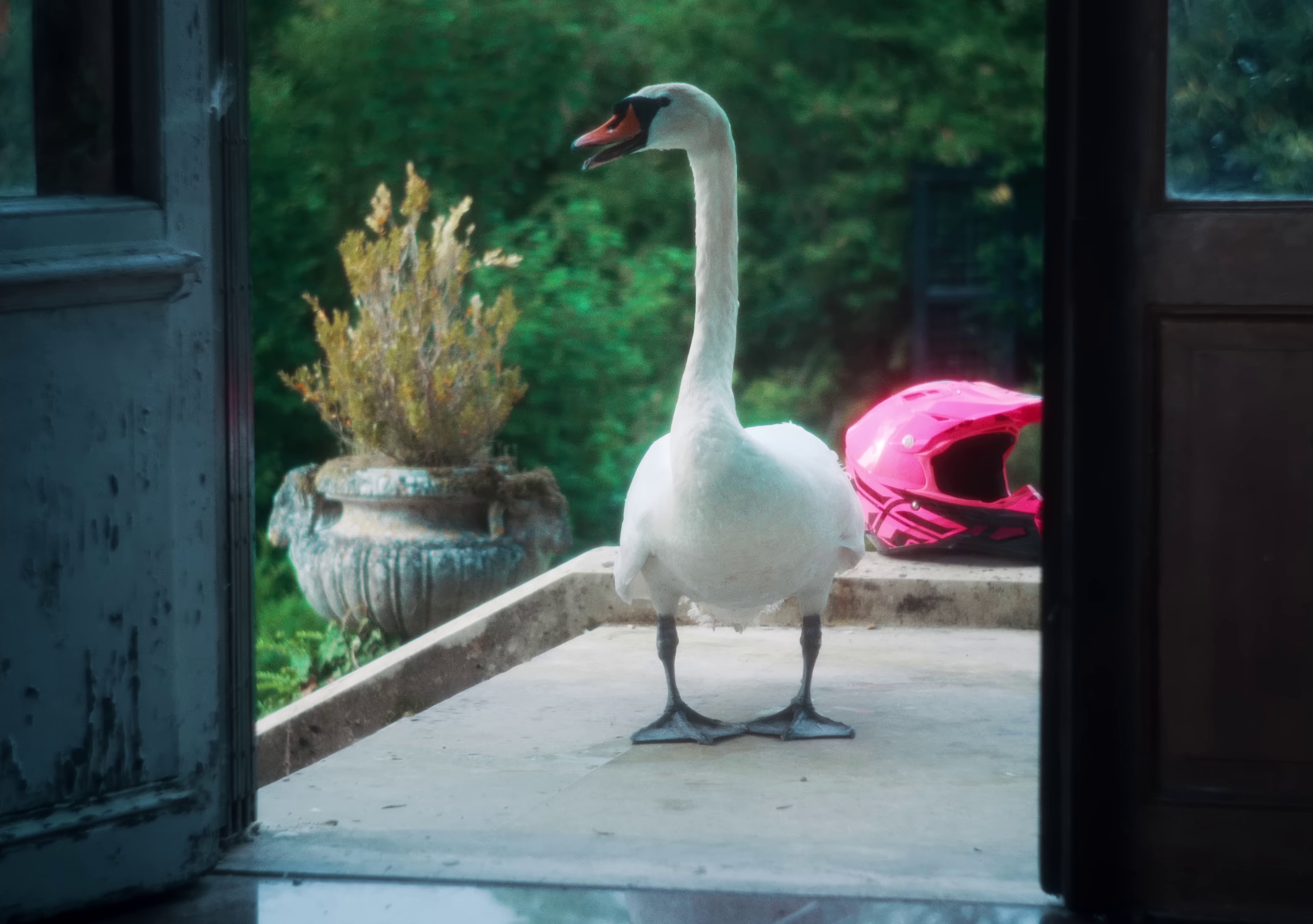 Alabama (2023) —  shot,  lighting