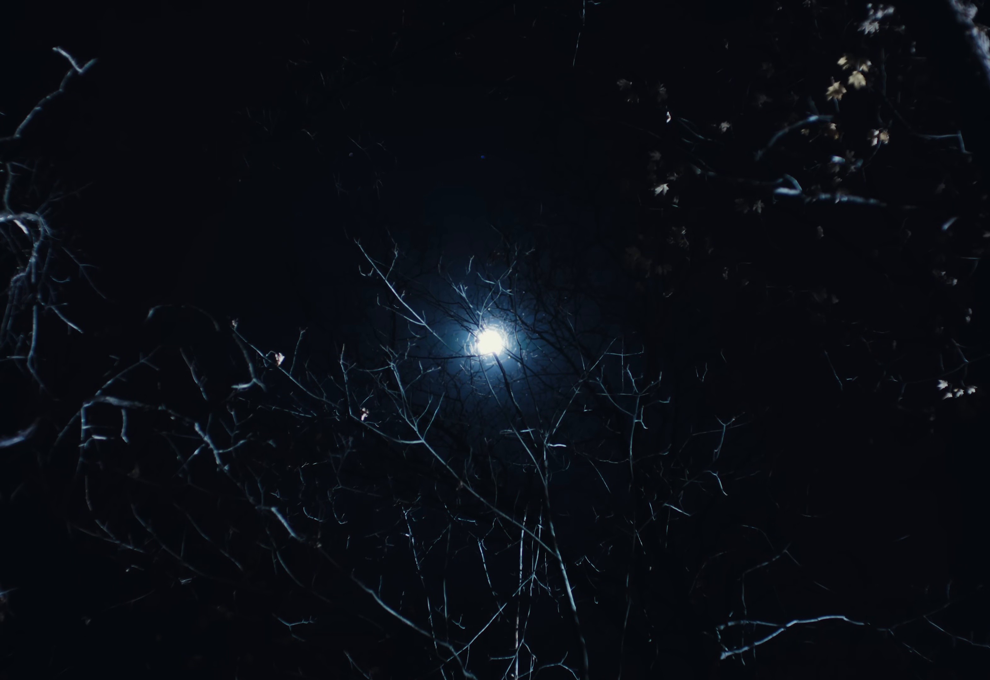 House (2025) —  shot,  lighting