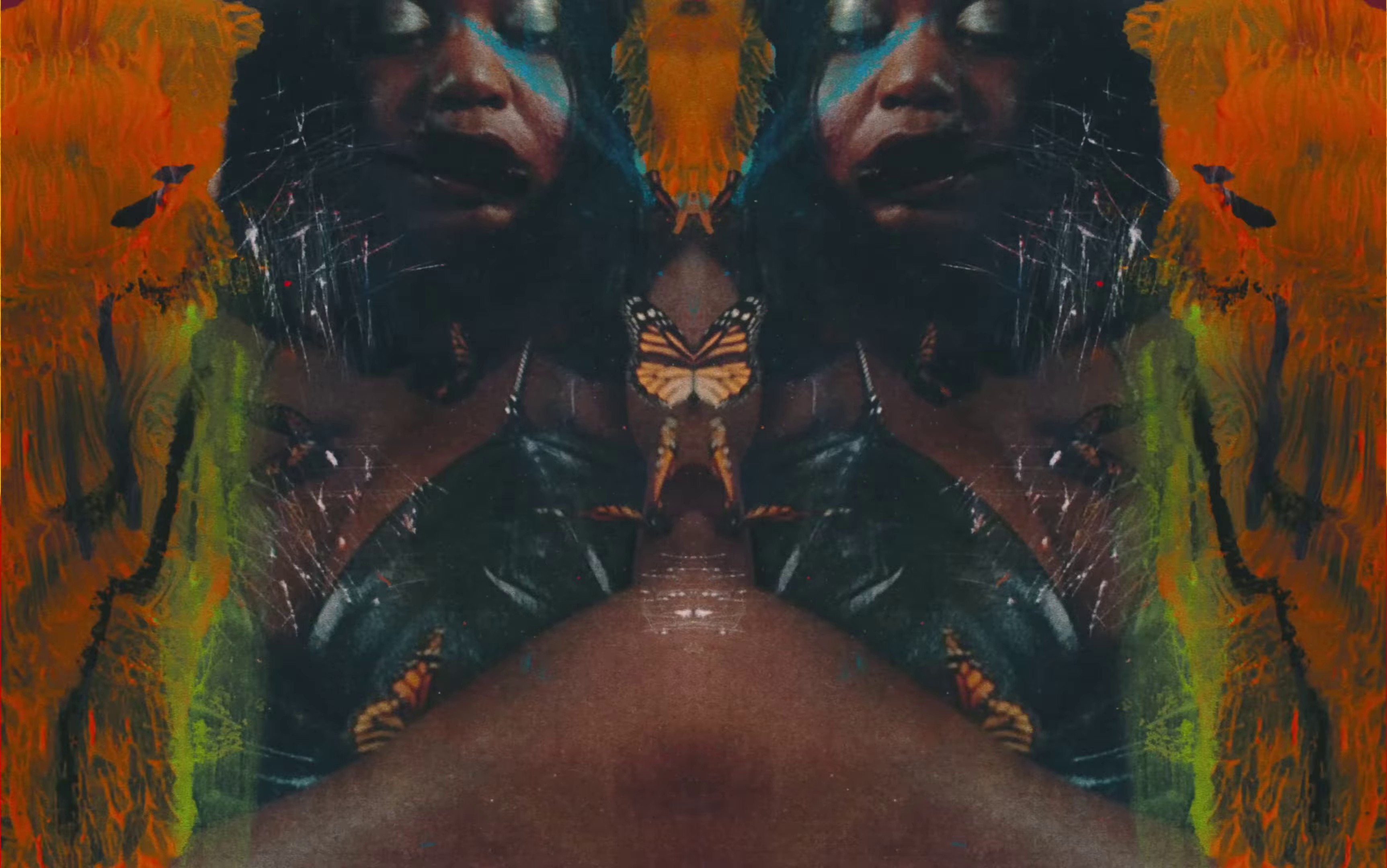Papillon Monarque (2023) —  shot,  lighting