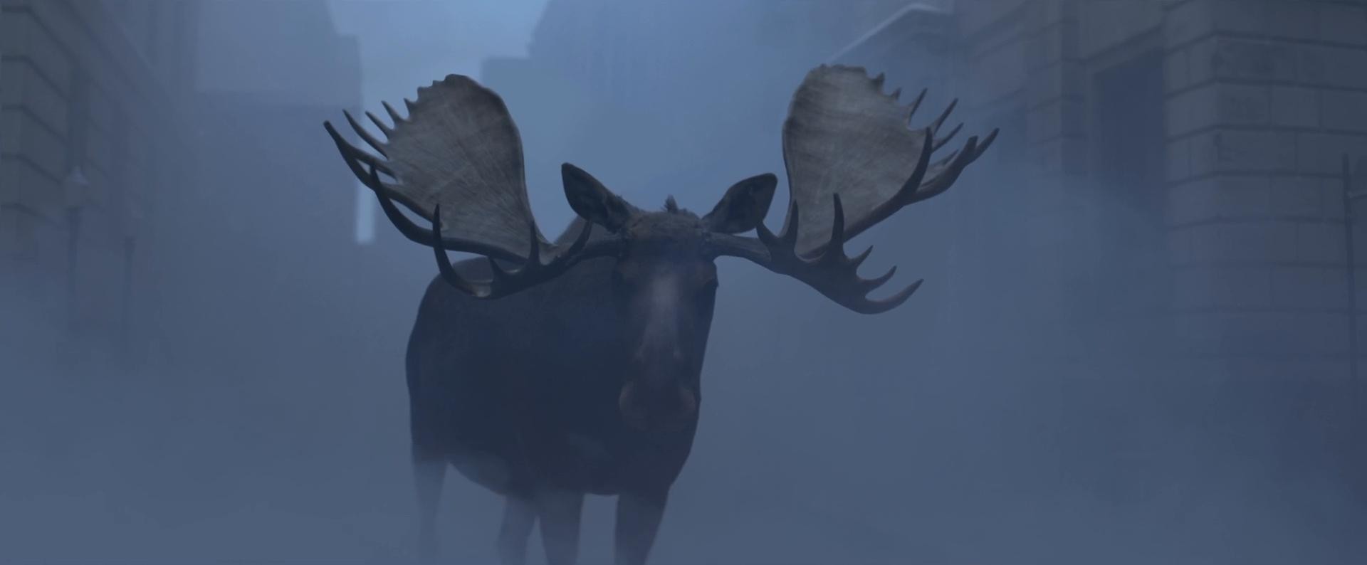 IG - Air Transat Moose (2017) —  shot,  lighting