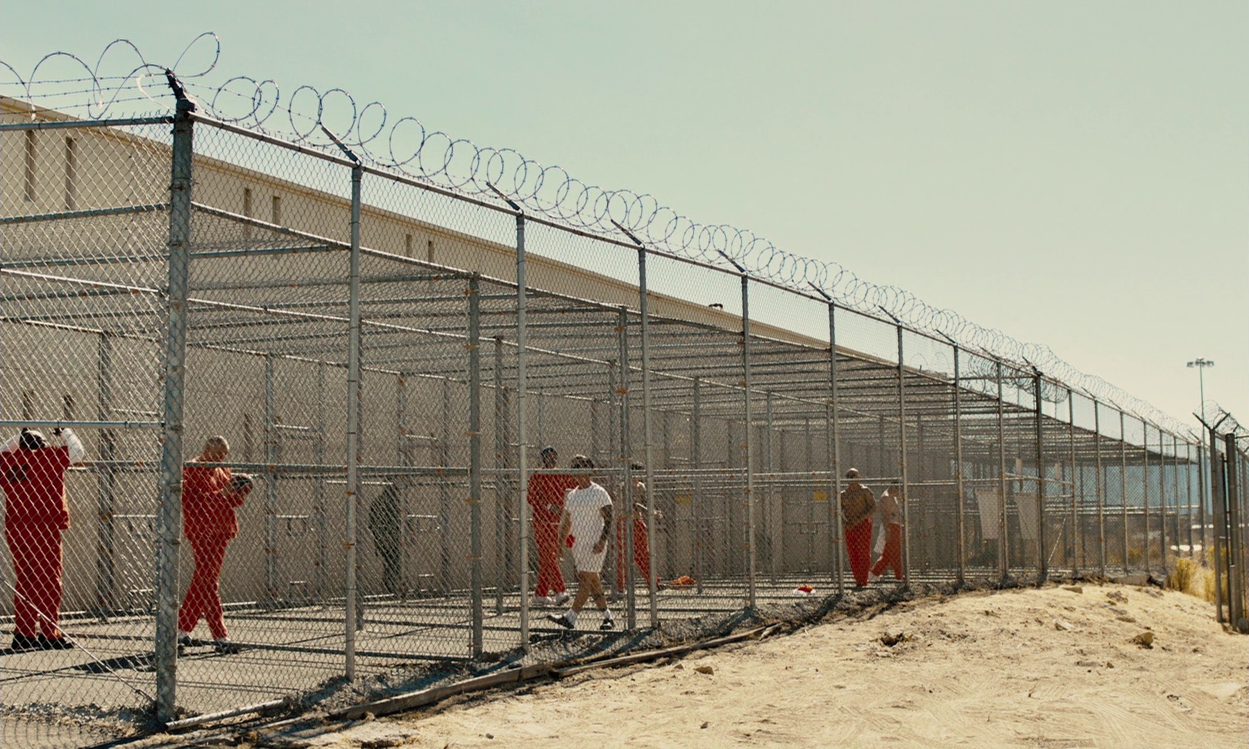 The Mustang (2019) —  shot,  lighting