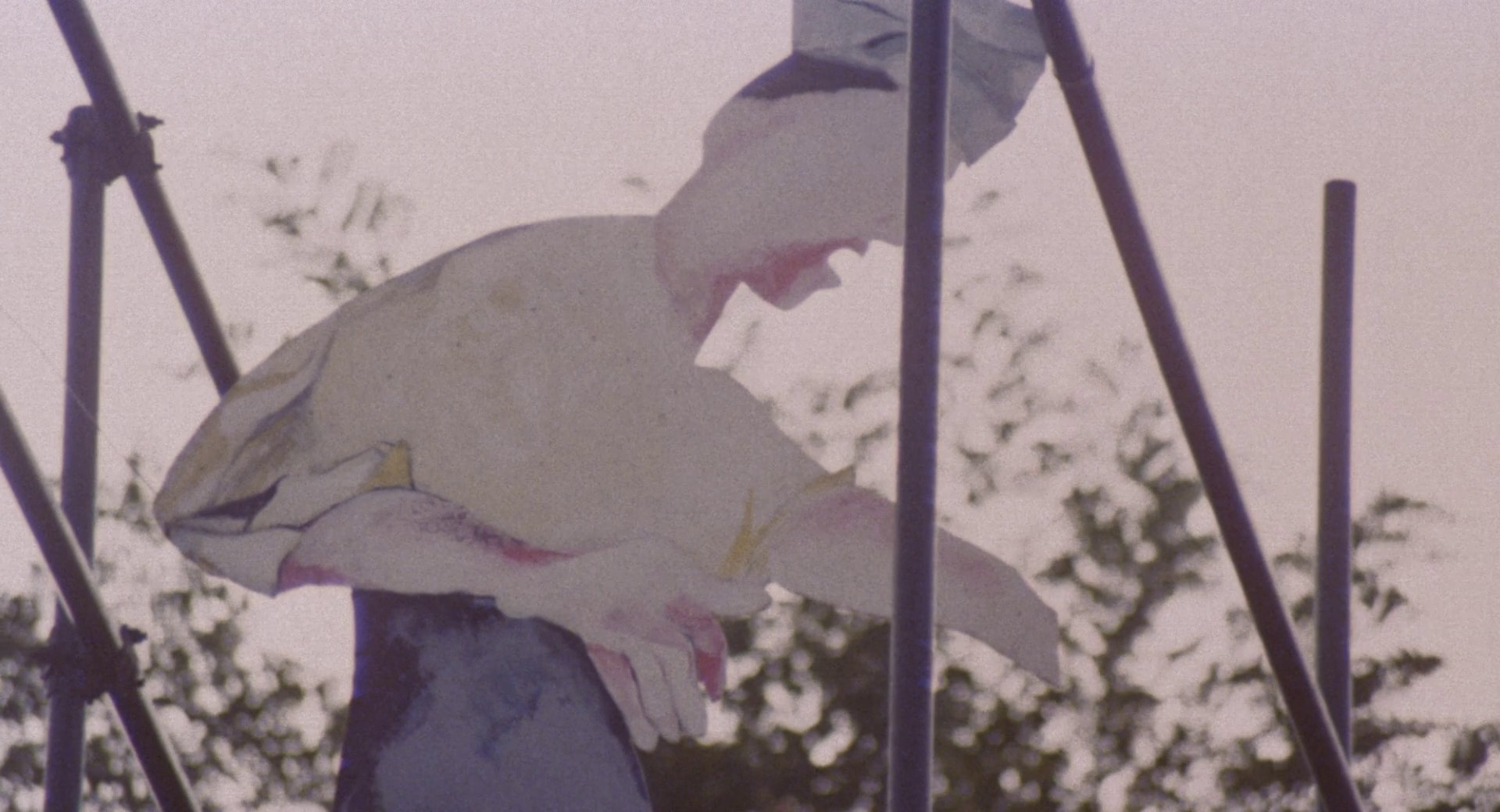 The Pizza Triangle (1970) —  shot,  lighting