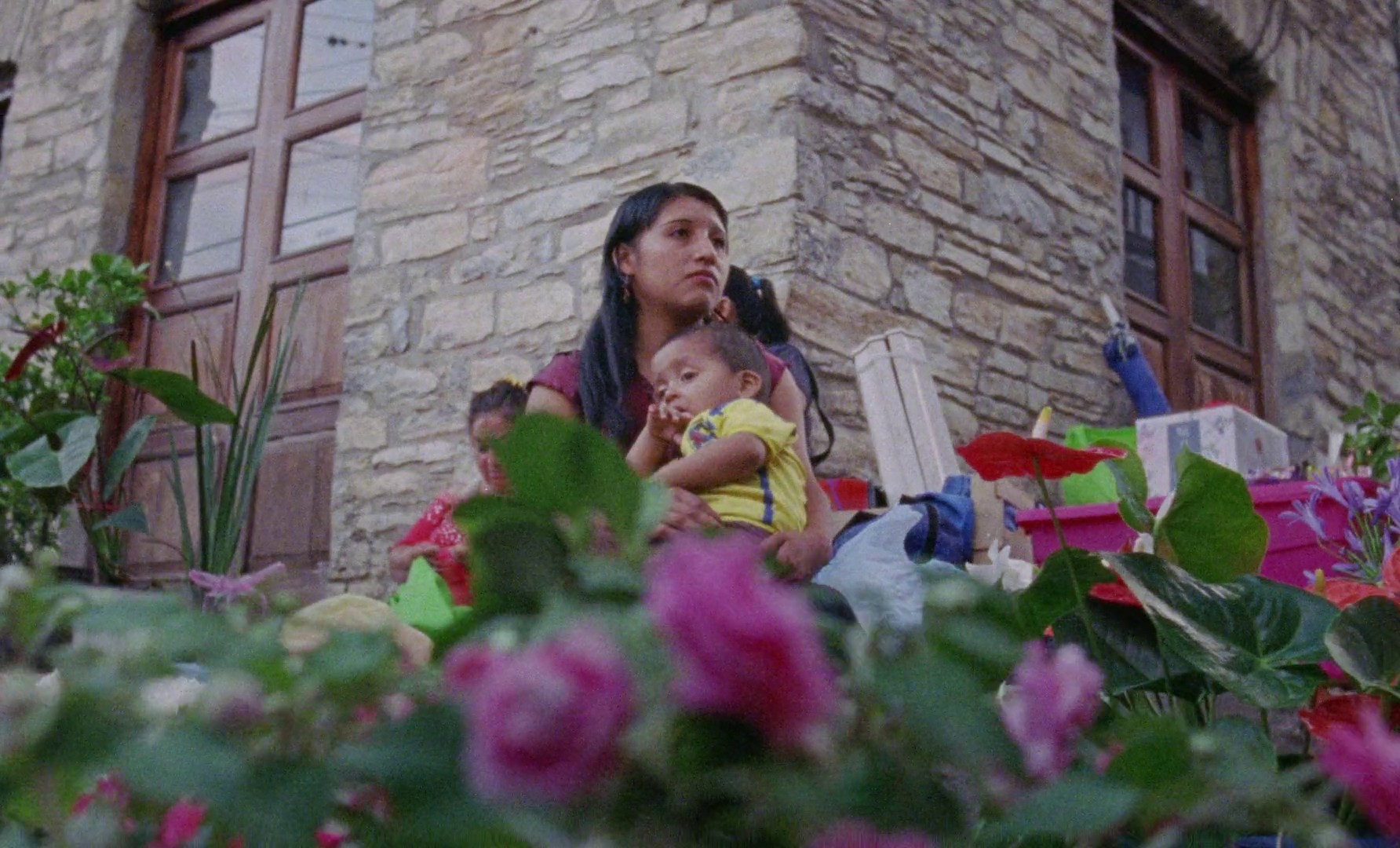 Genesis  (2018) —  shot,  lighting