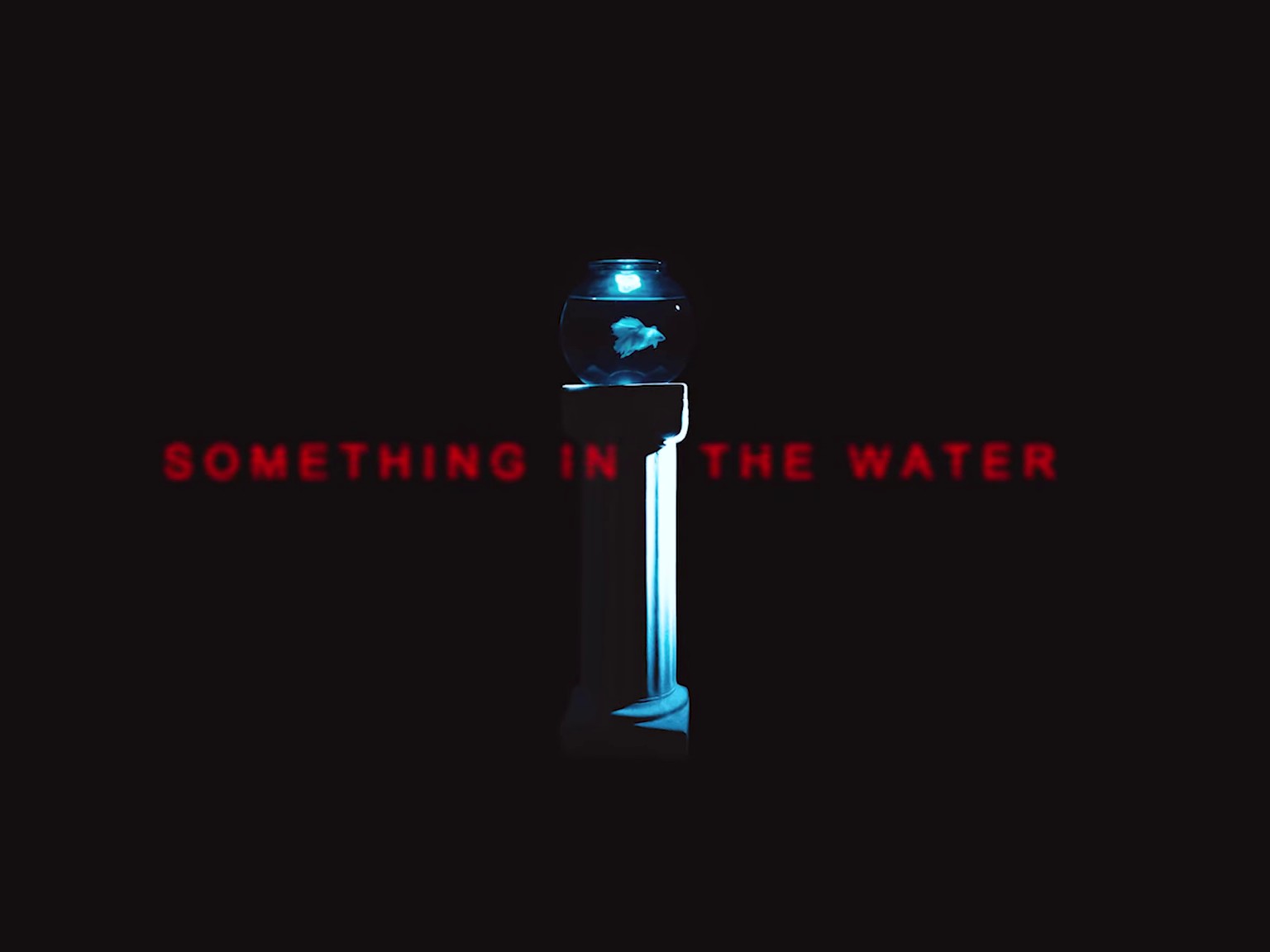 something in the water (2024) —  shot,  lighting