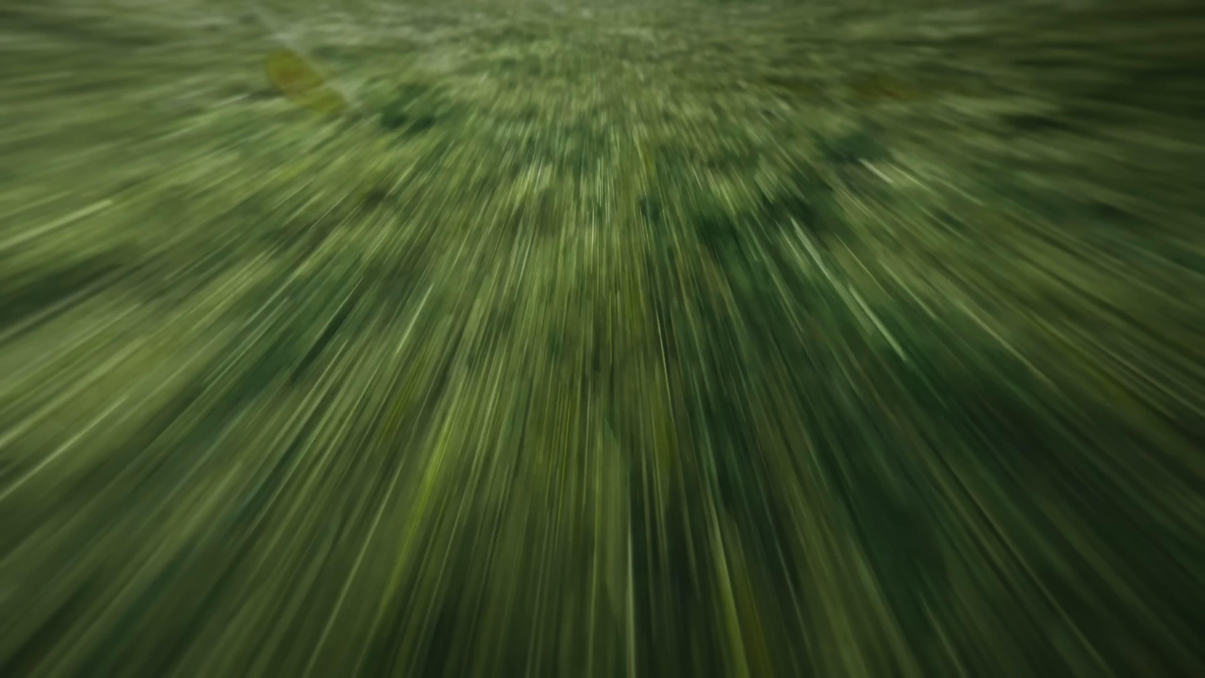 CASA MIA (2024) —  shot,  lighting