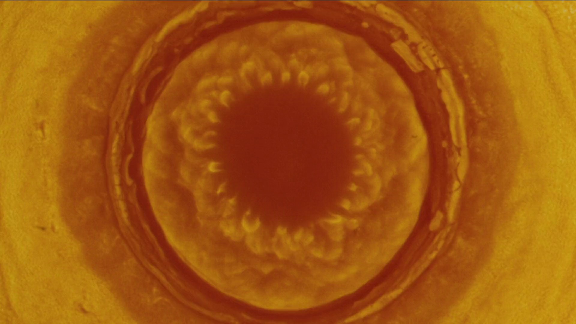 Him or her  (2022) —  shot,  lighting