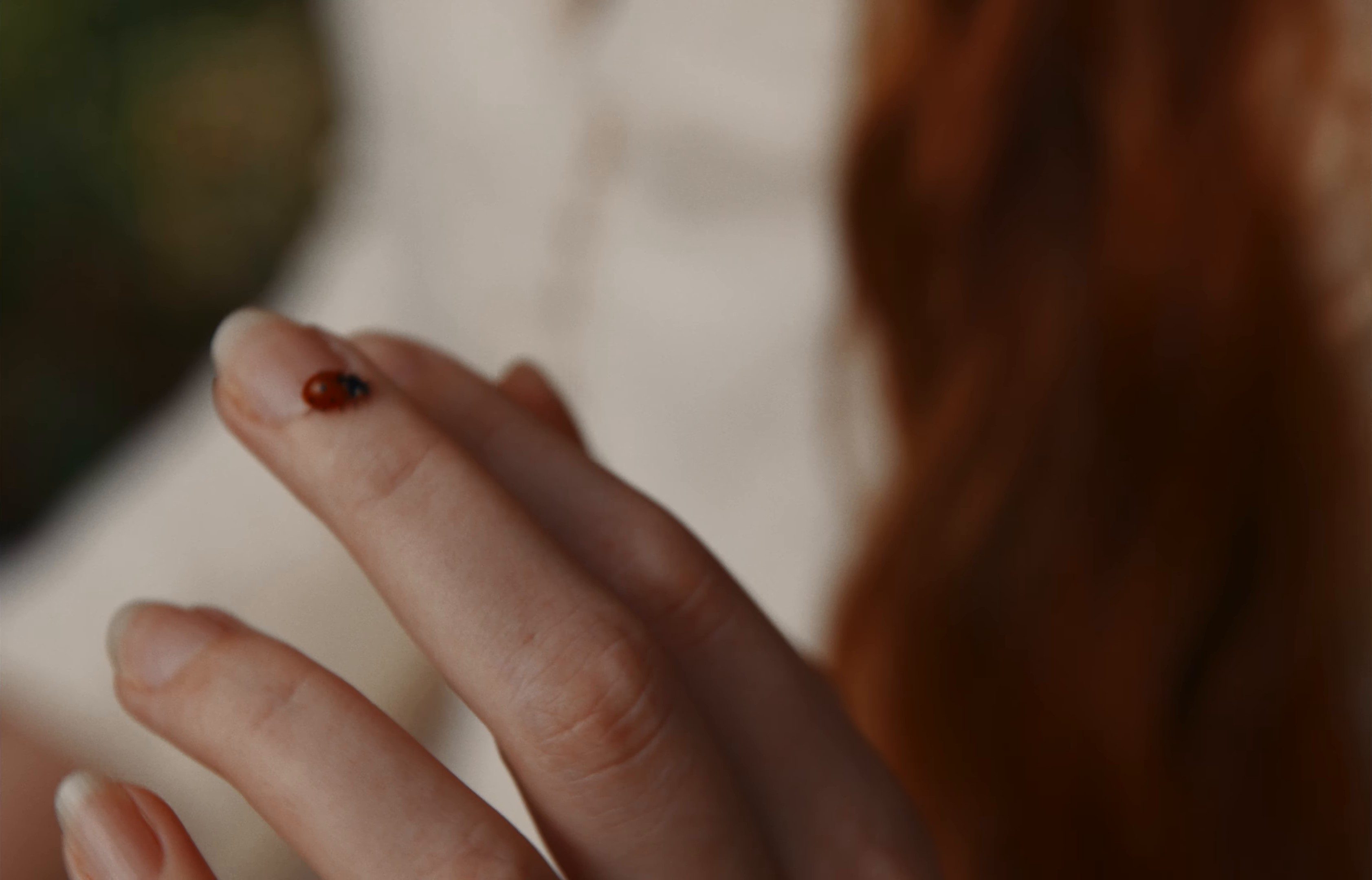 Arroyo Dorado (2024) —  shot,  lighting