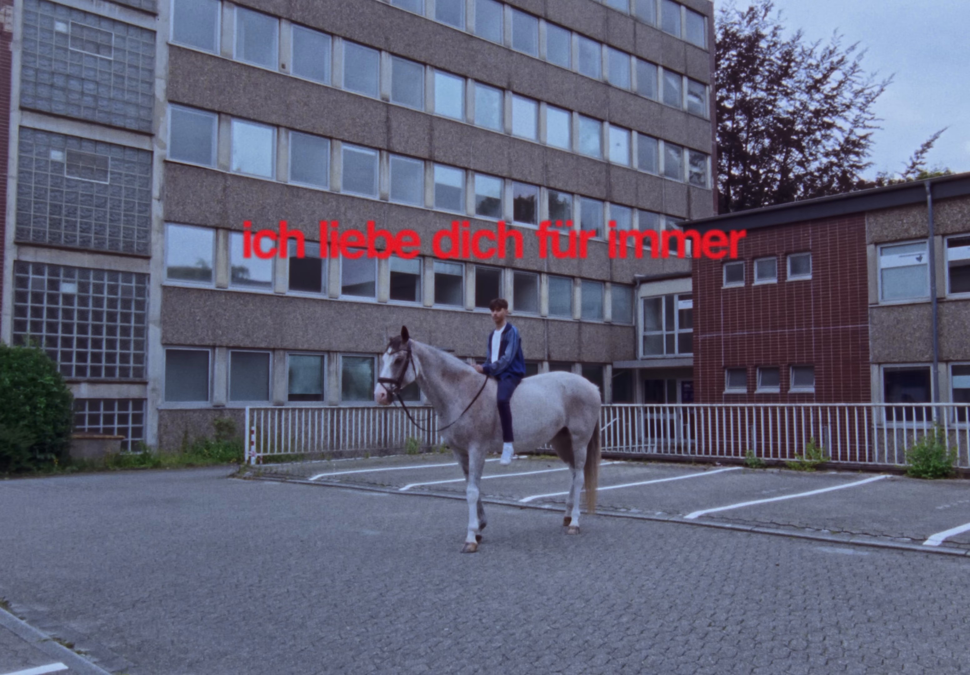 Ich liebe dich für immer (2024) —  shot,  lighting