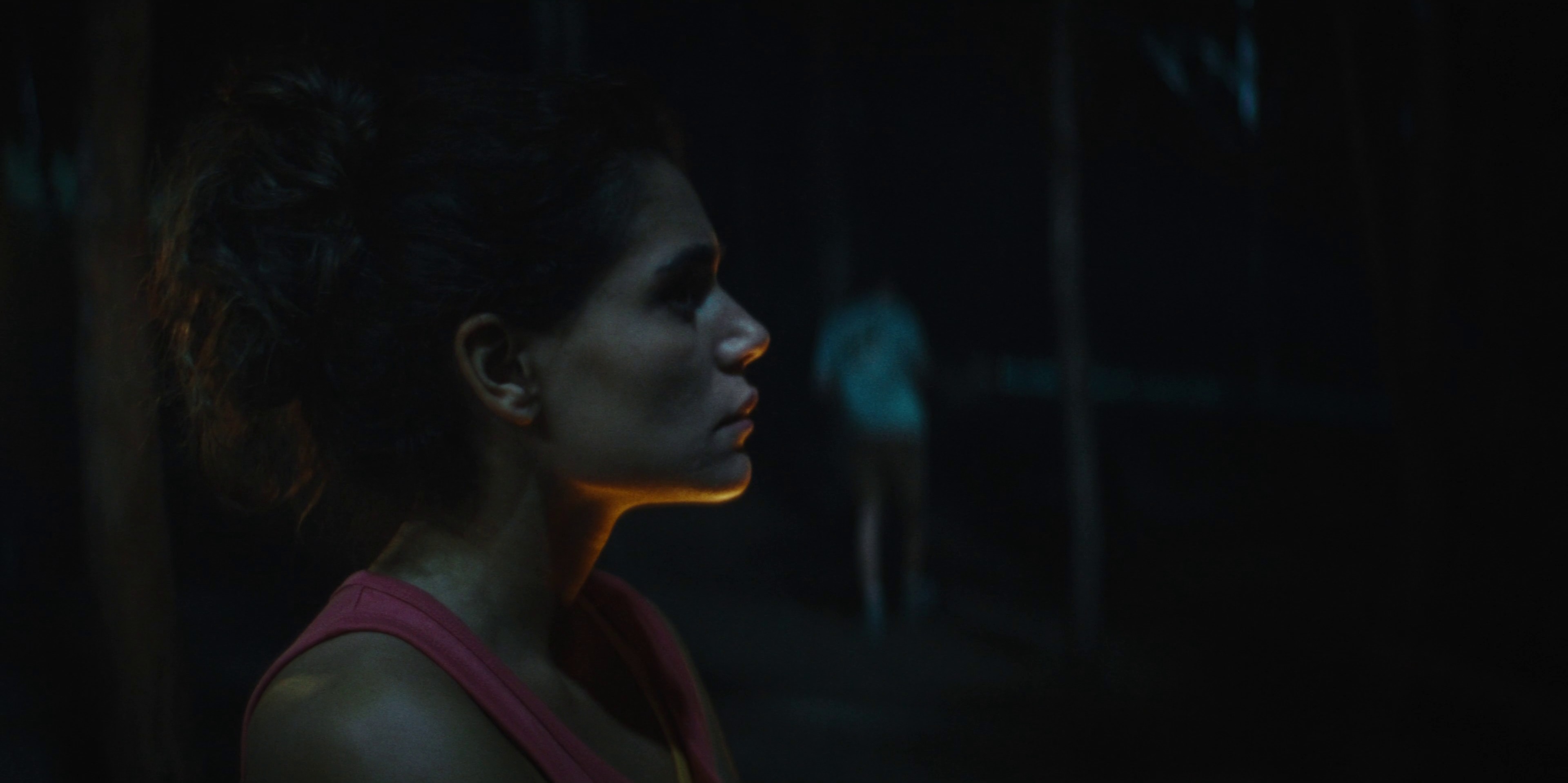 Antibrumm "Into the woods" DC (2024) —  shot,  lighting