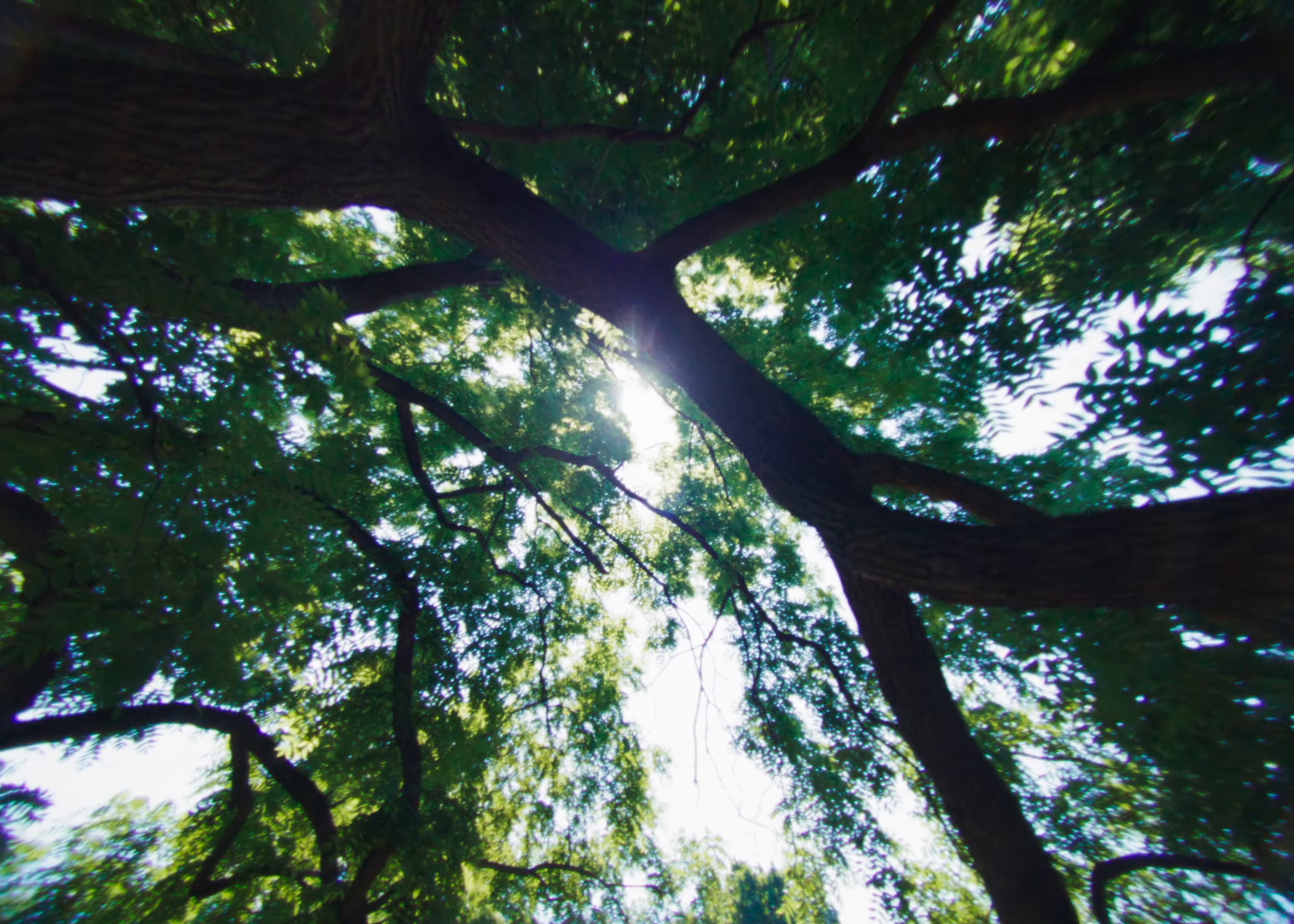 Levels (2024) —  shot,  lighting