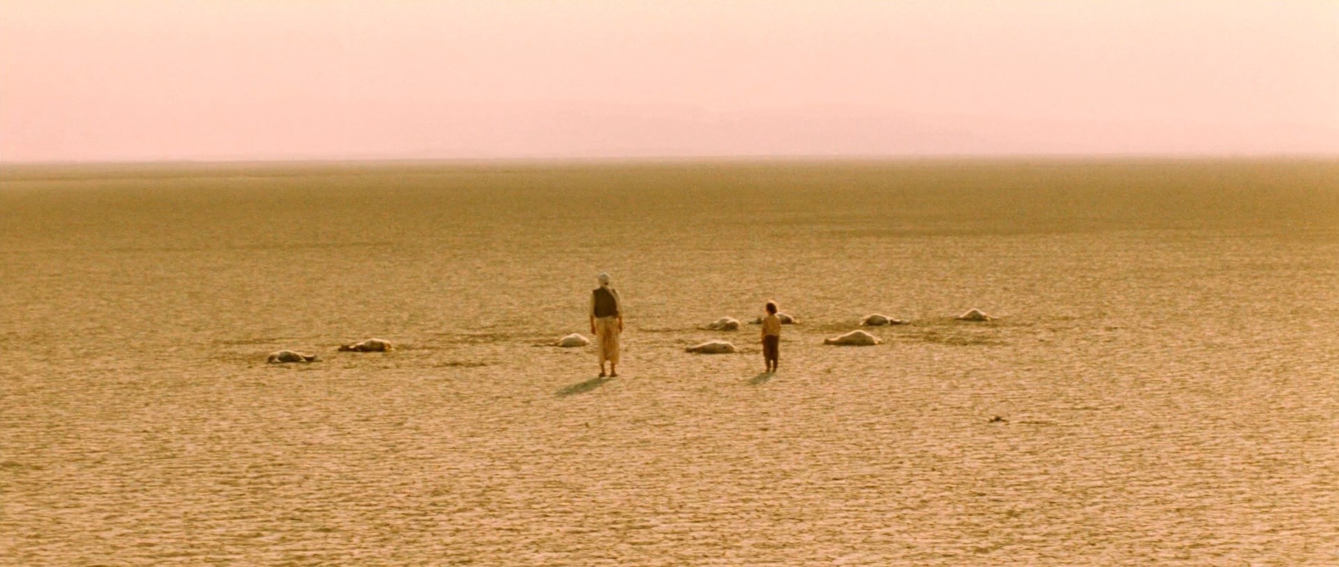 Chronicle of the Years of Fire (1975) —  shot,  lighting