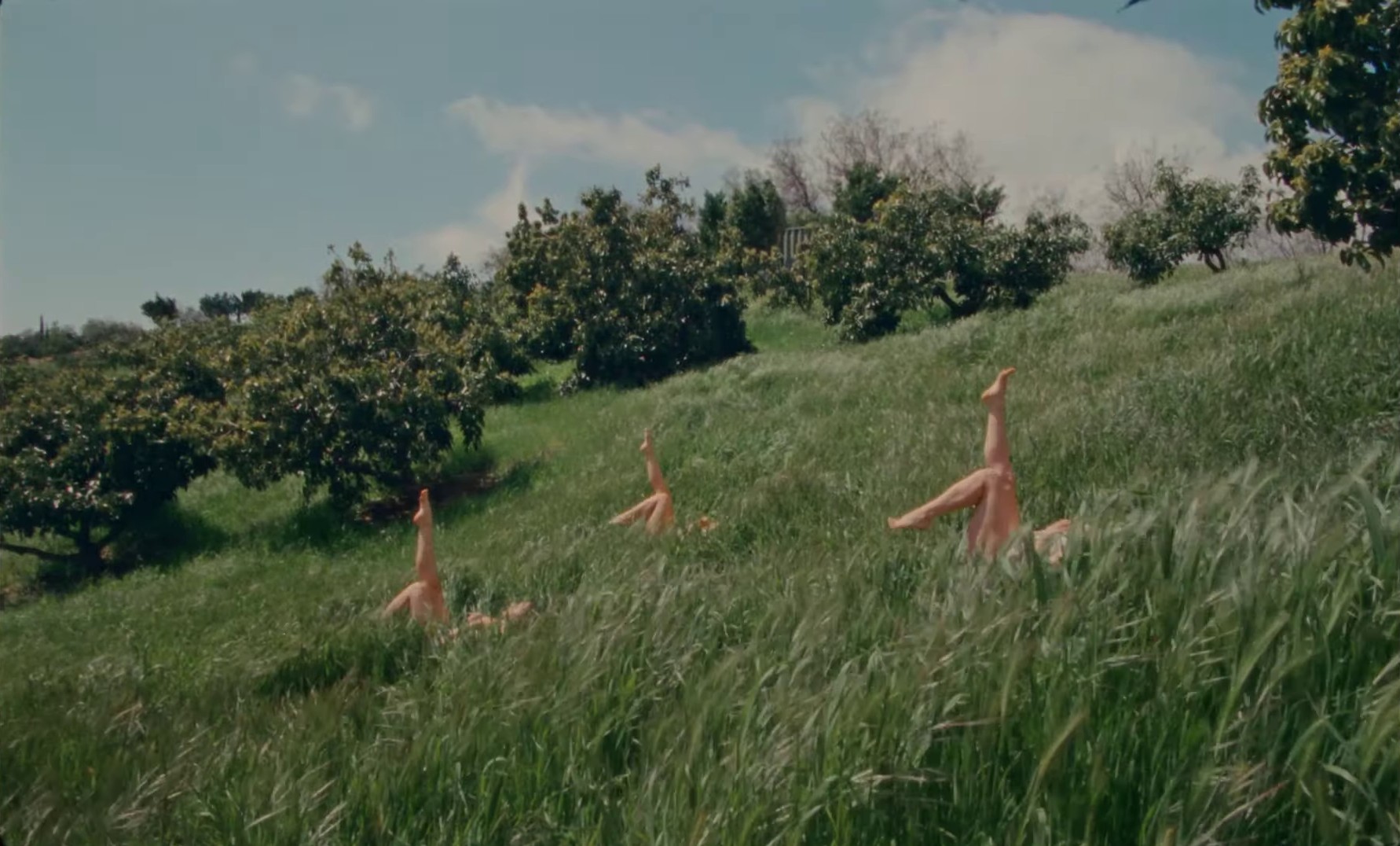 My Day Off (2024) —  shot,  lighting