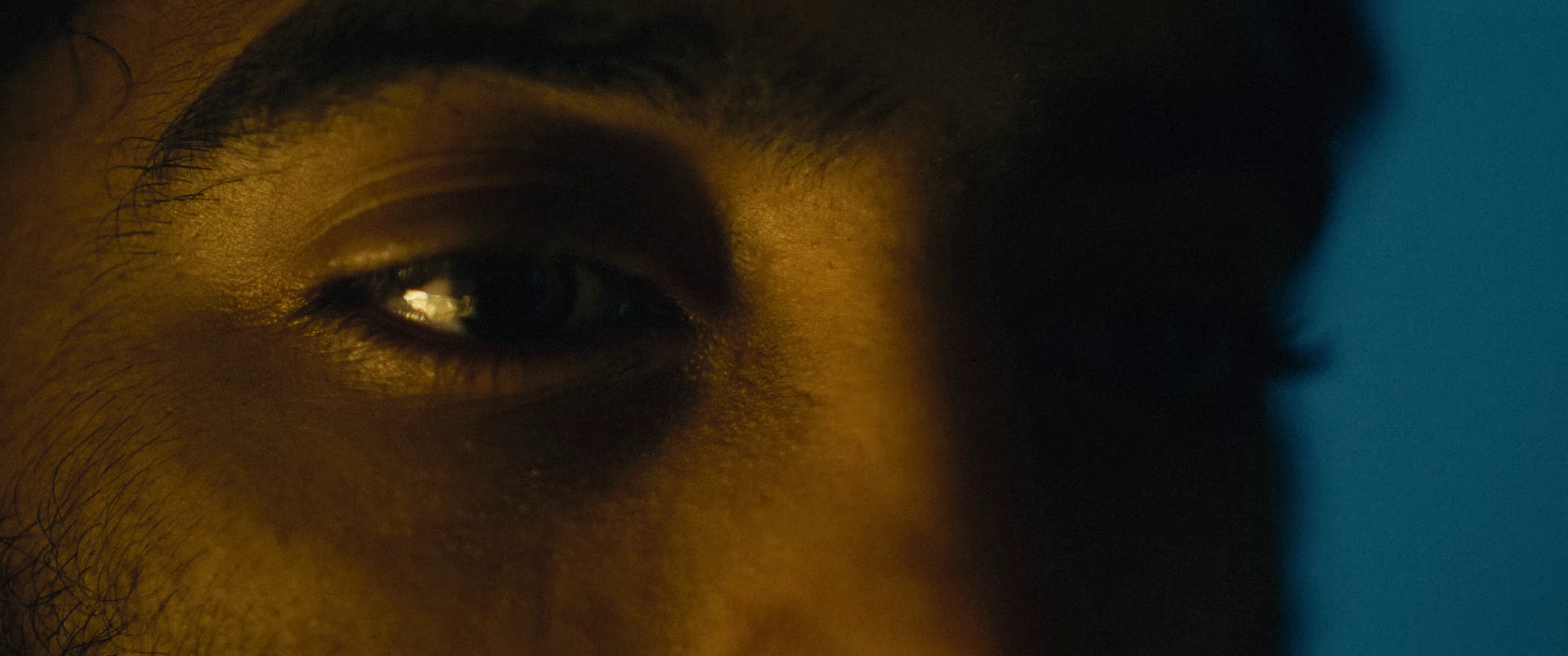 Plans We Made (2022) —  shot,  lighting