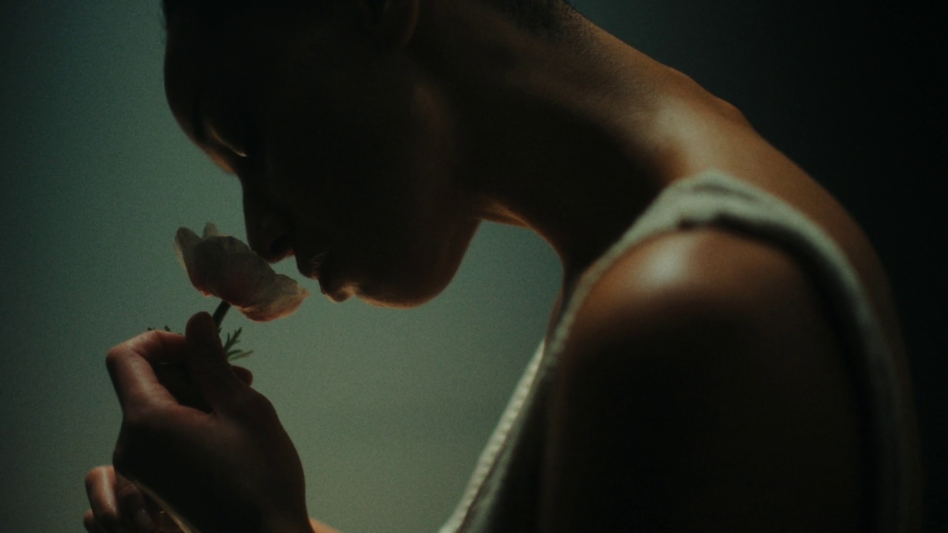 Him or her  (2022) —  shot,  lighting