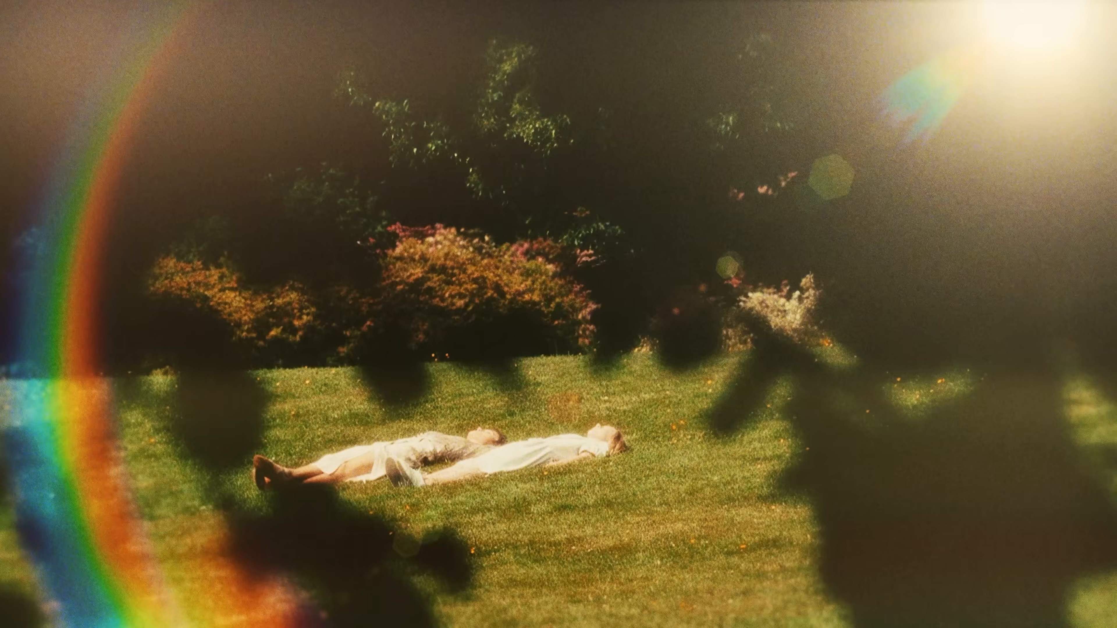 AMISS (2025) —  shot,  lighting