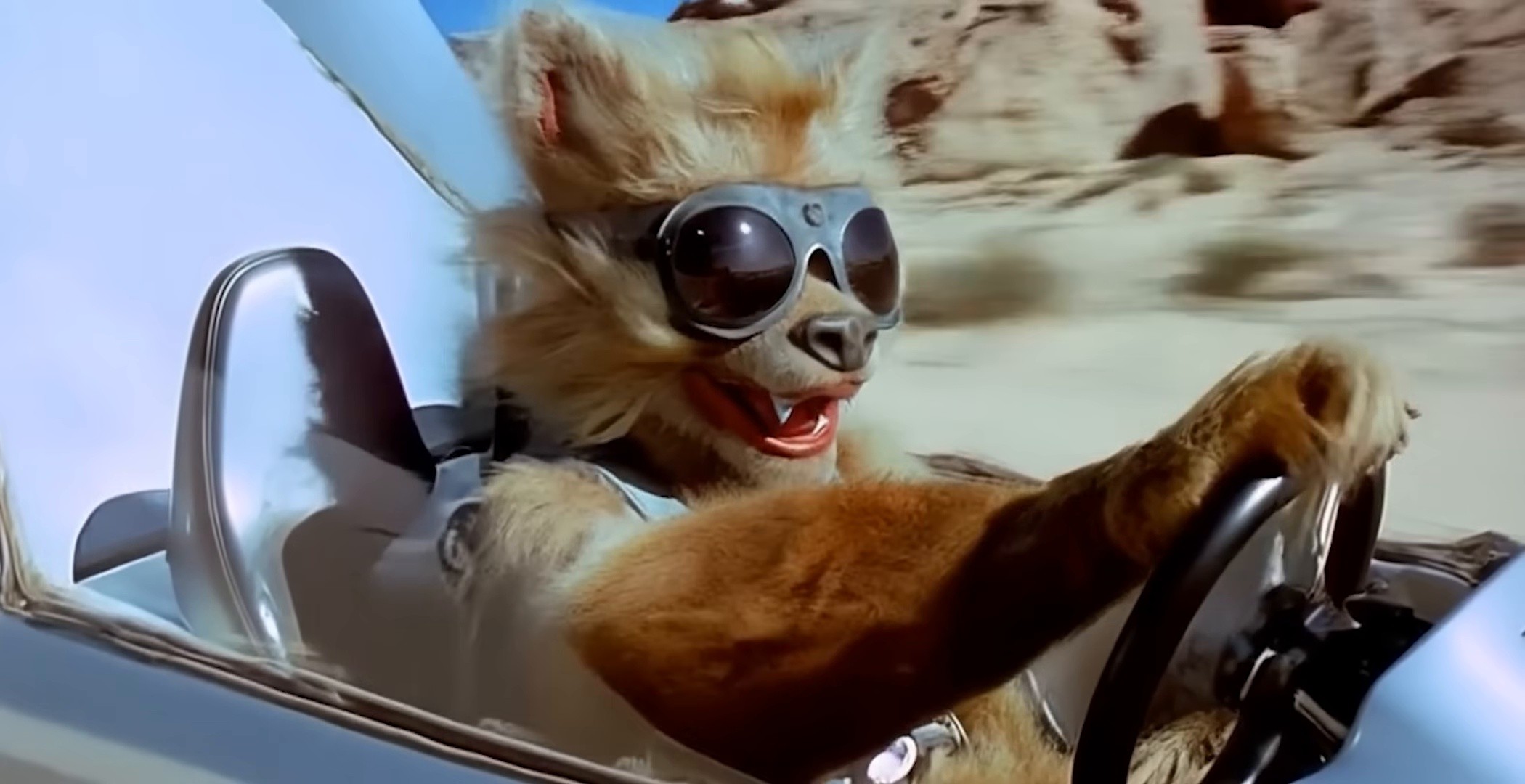 BOMB (2024) —  shot,  lighting