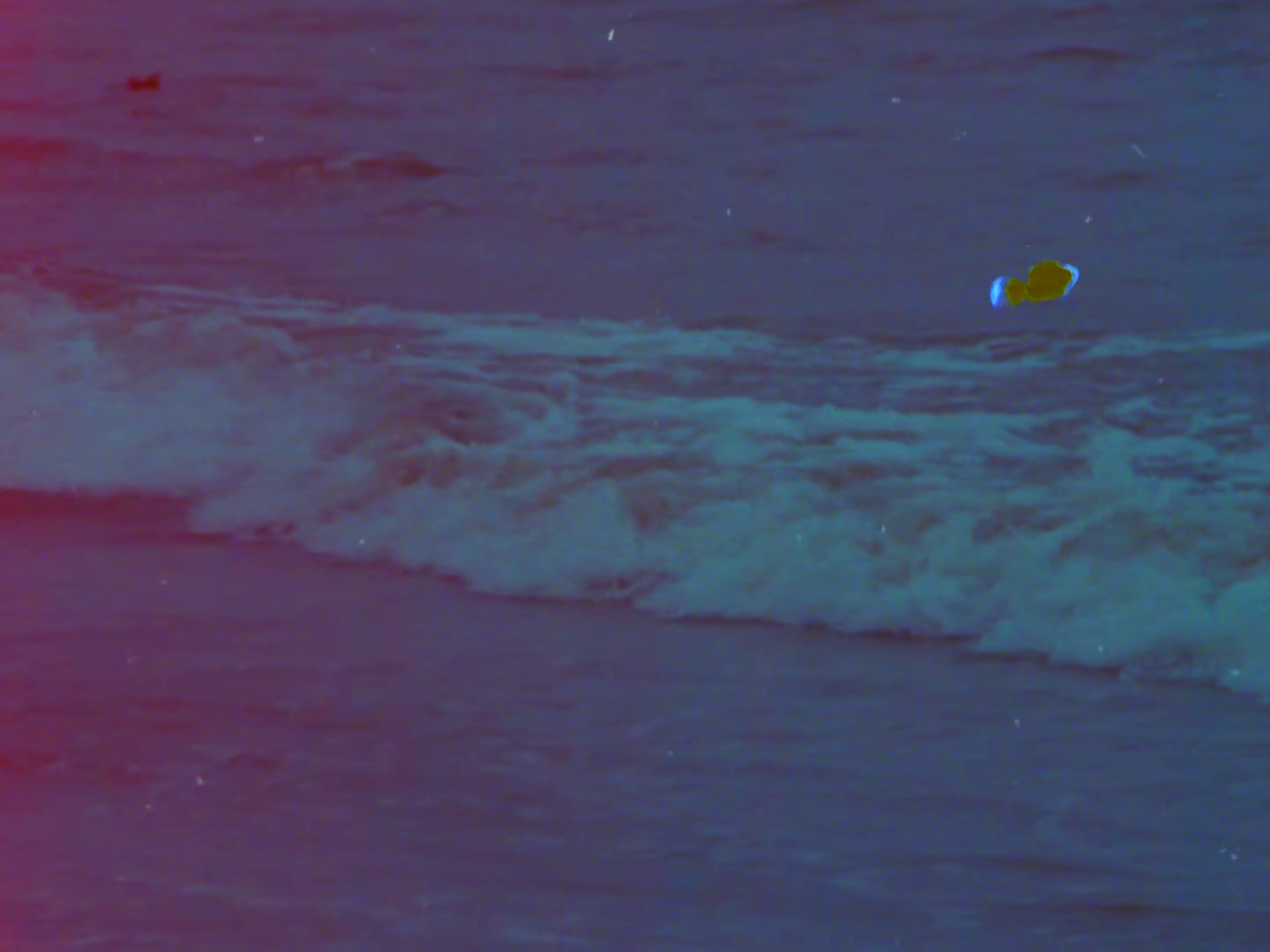 Flirt With Death (2023) —  shot,  lighting