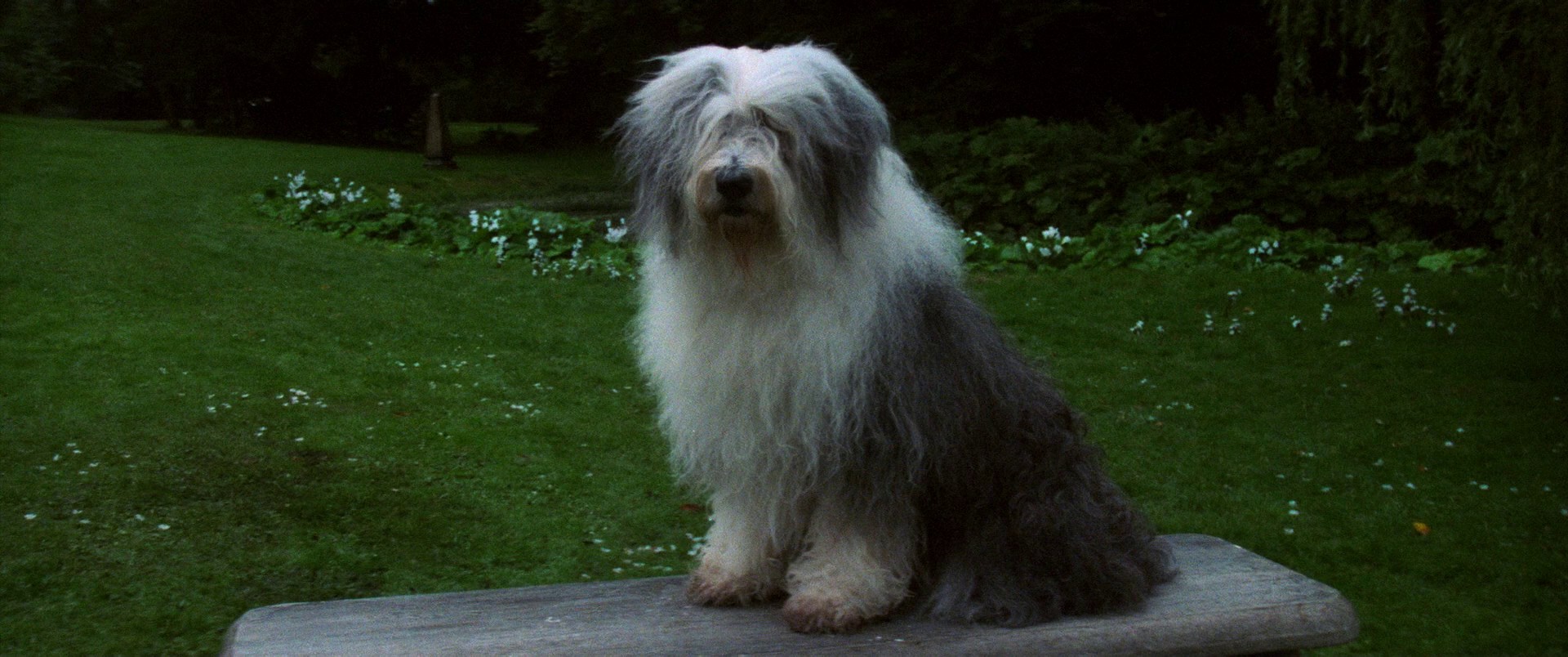 Labyrinth (1986) —  shot,  lighting