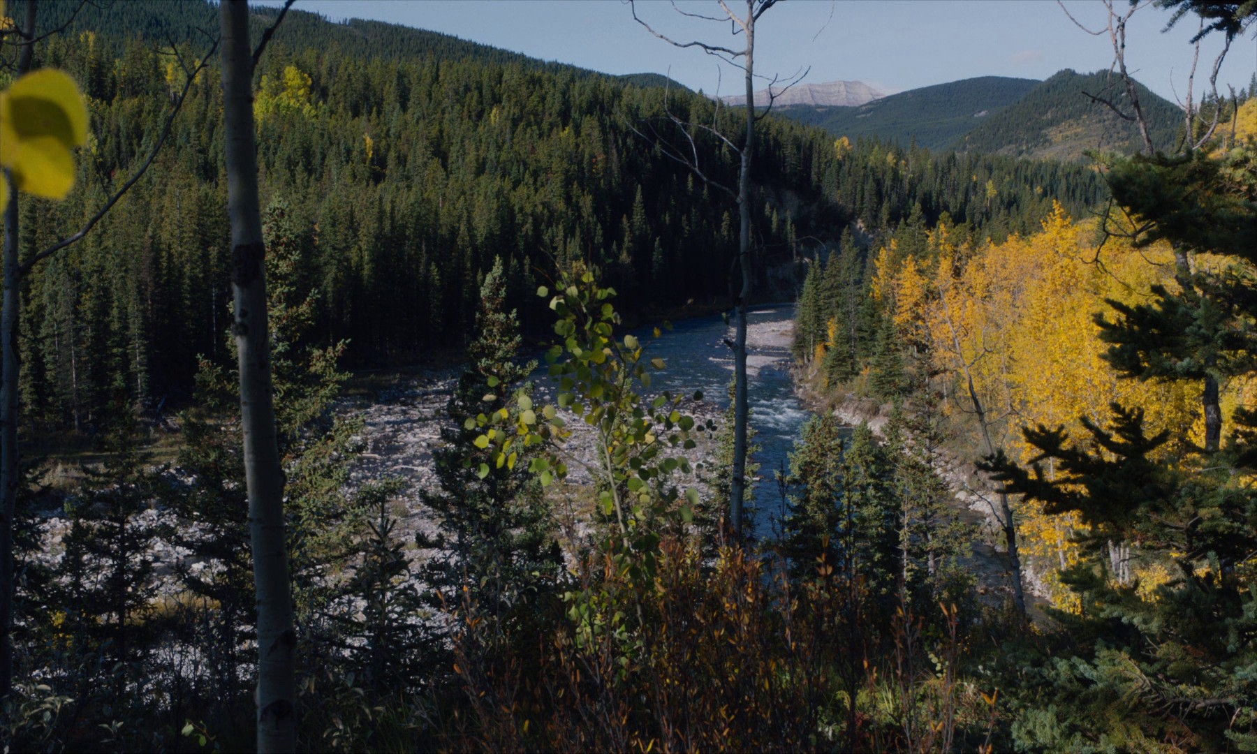 Land (2021) —  shot,  lighting