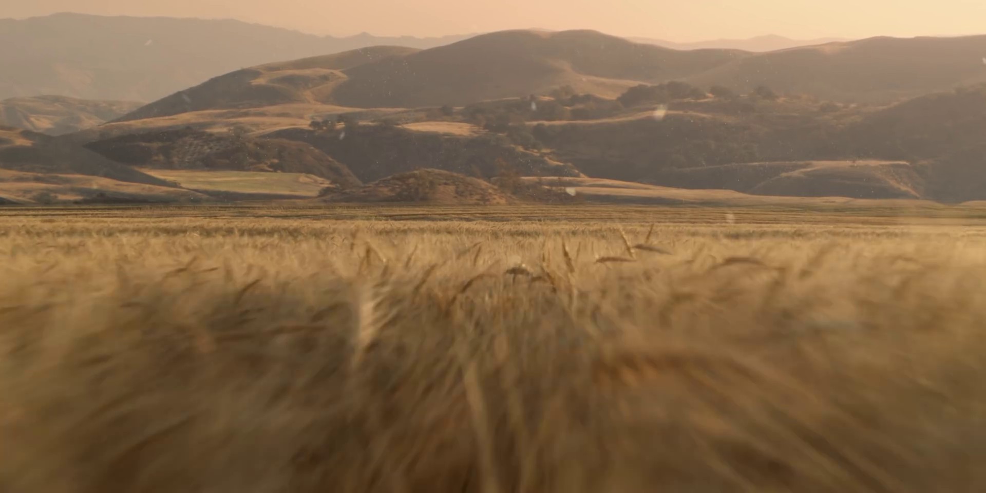 Minefields (2021) —  shot,  lighting