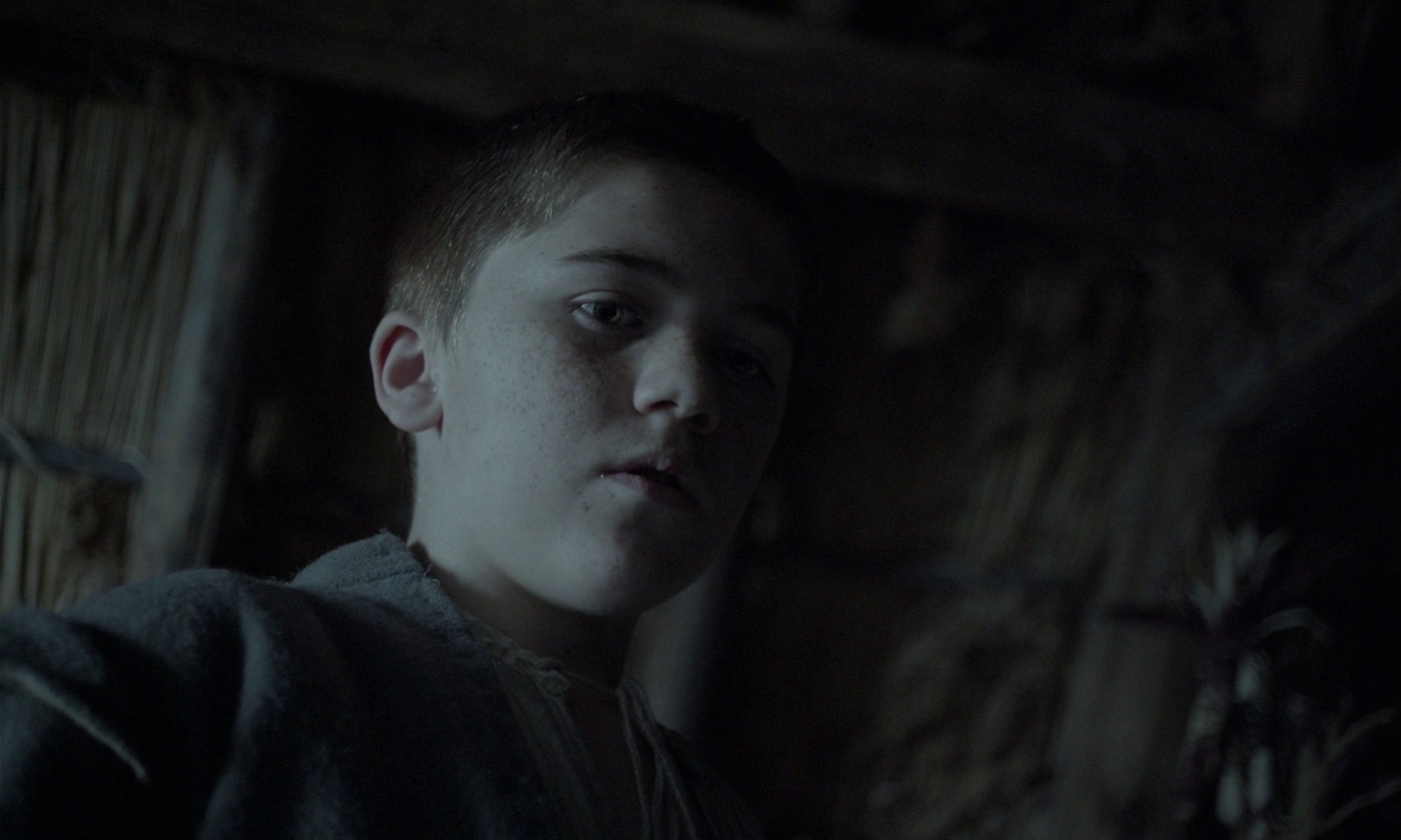 The Witch (2015) —  shot,  lighting