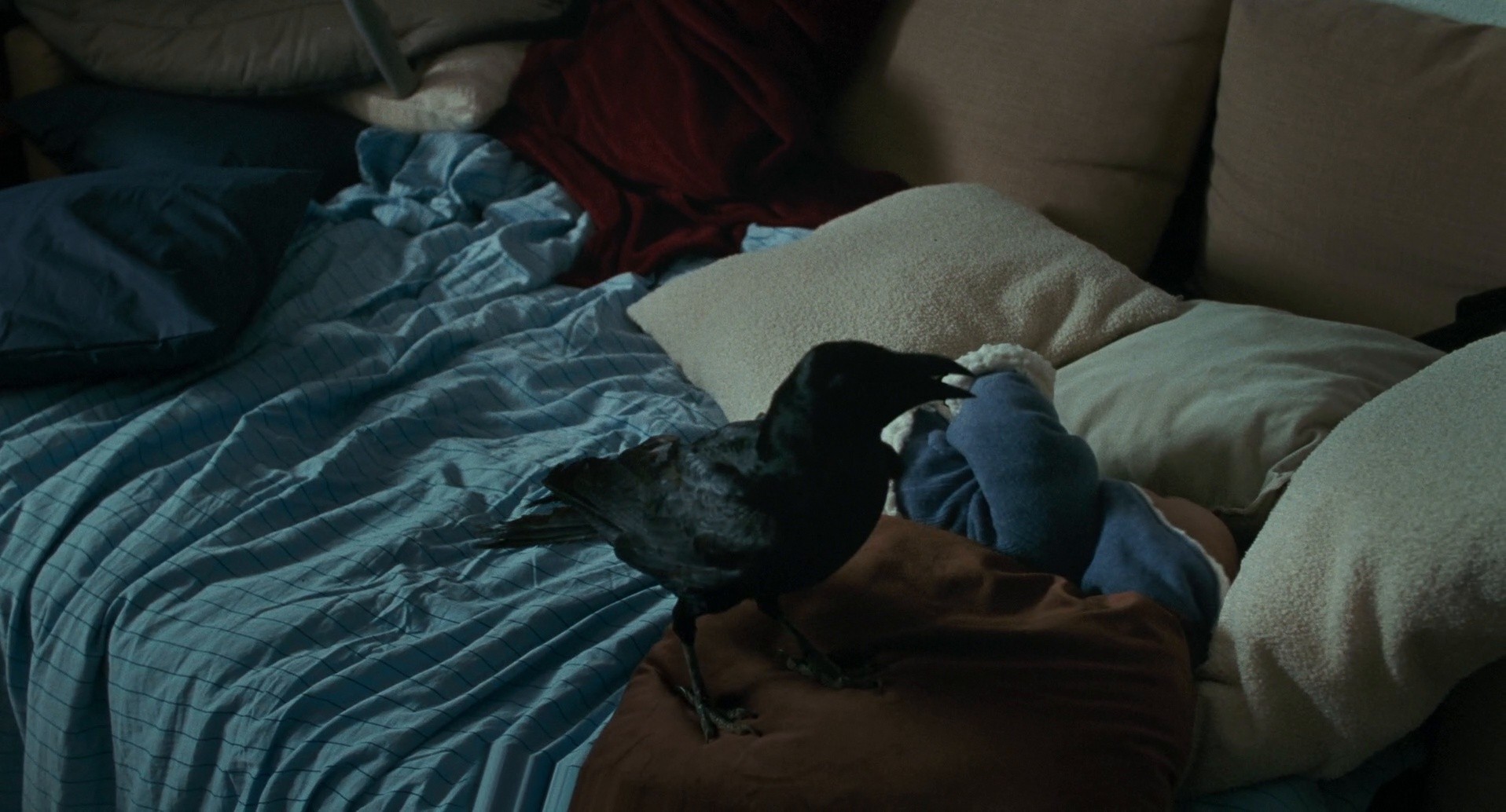 Salve Maria (2024) —  shot,  lighting