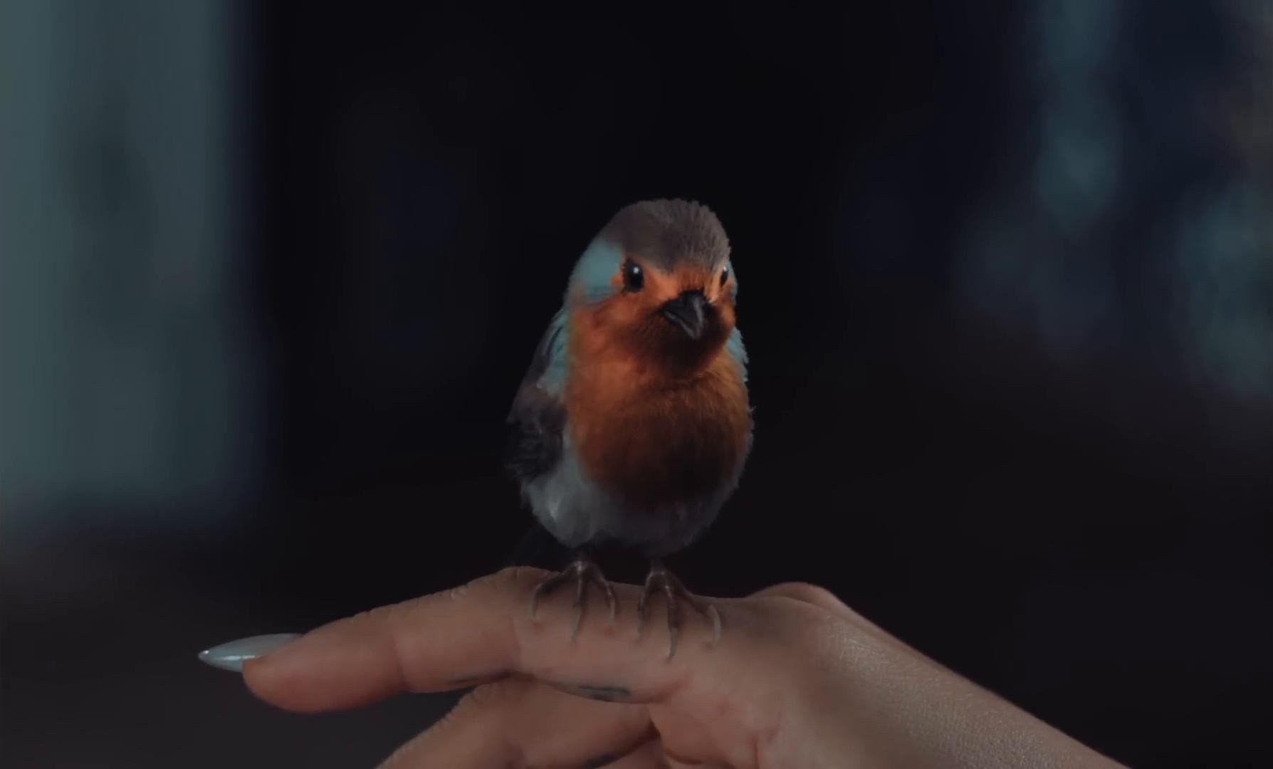 Berghain (2025) —  shot,  lighting