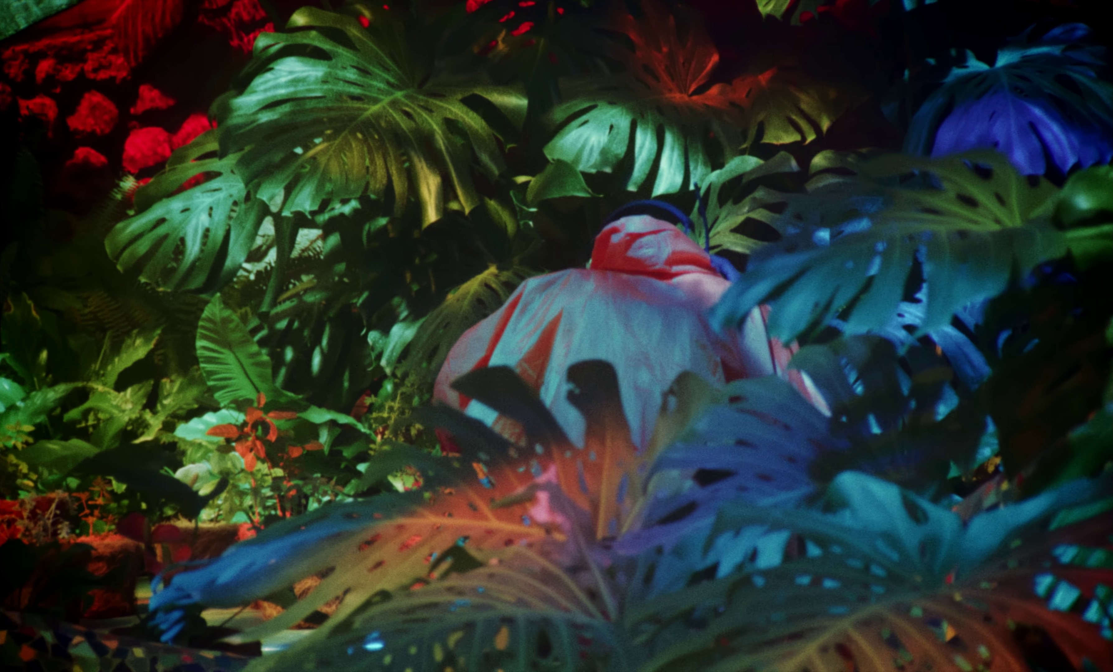 New Lyfe (2024) —  shot,  lighting