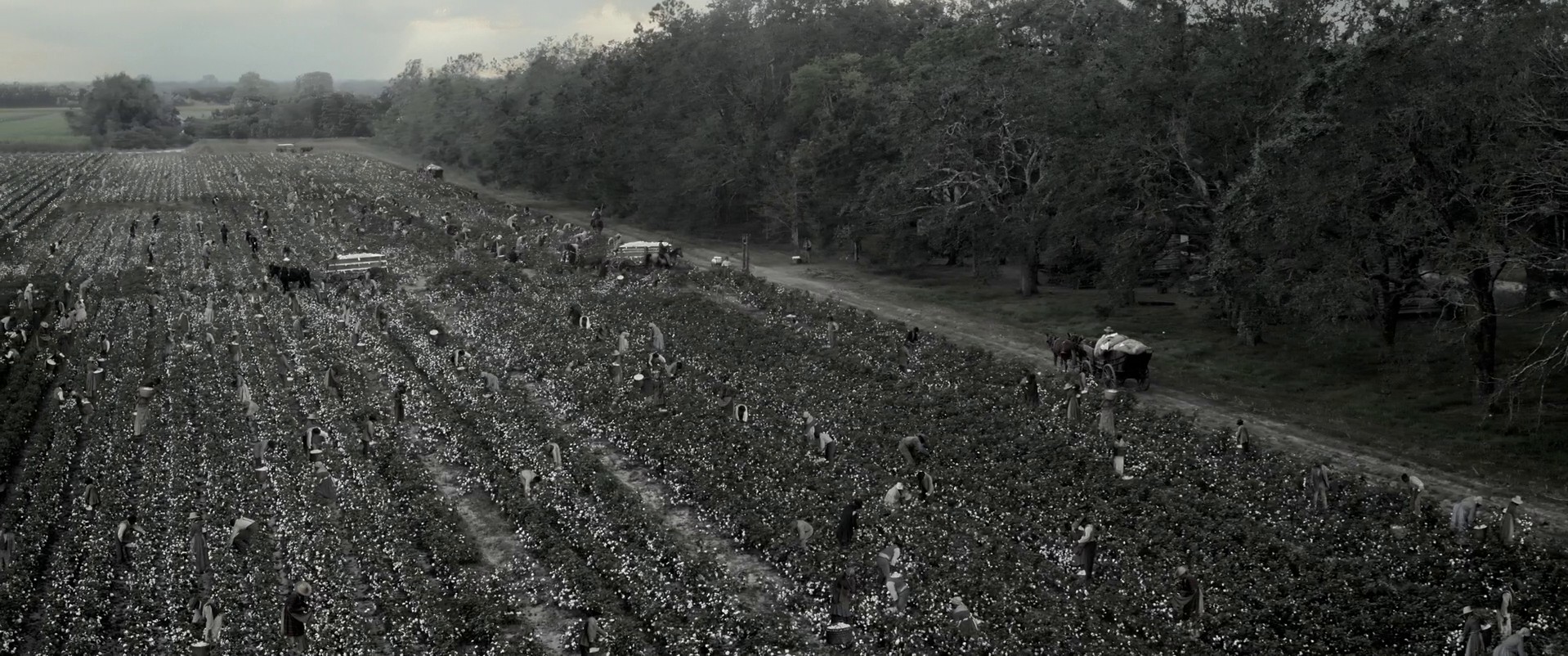 Emancipation (2022) —  shot,  lighting