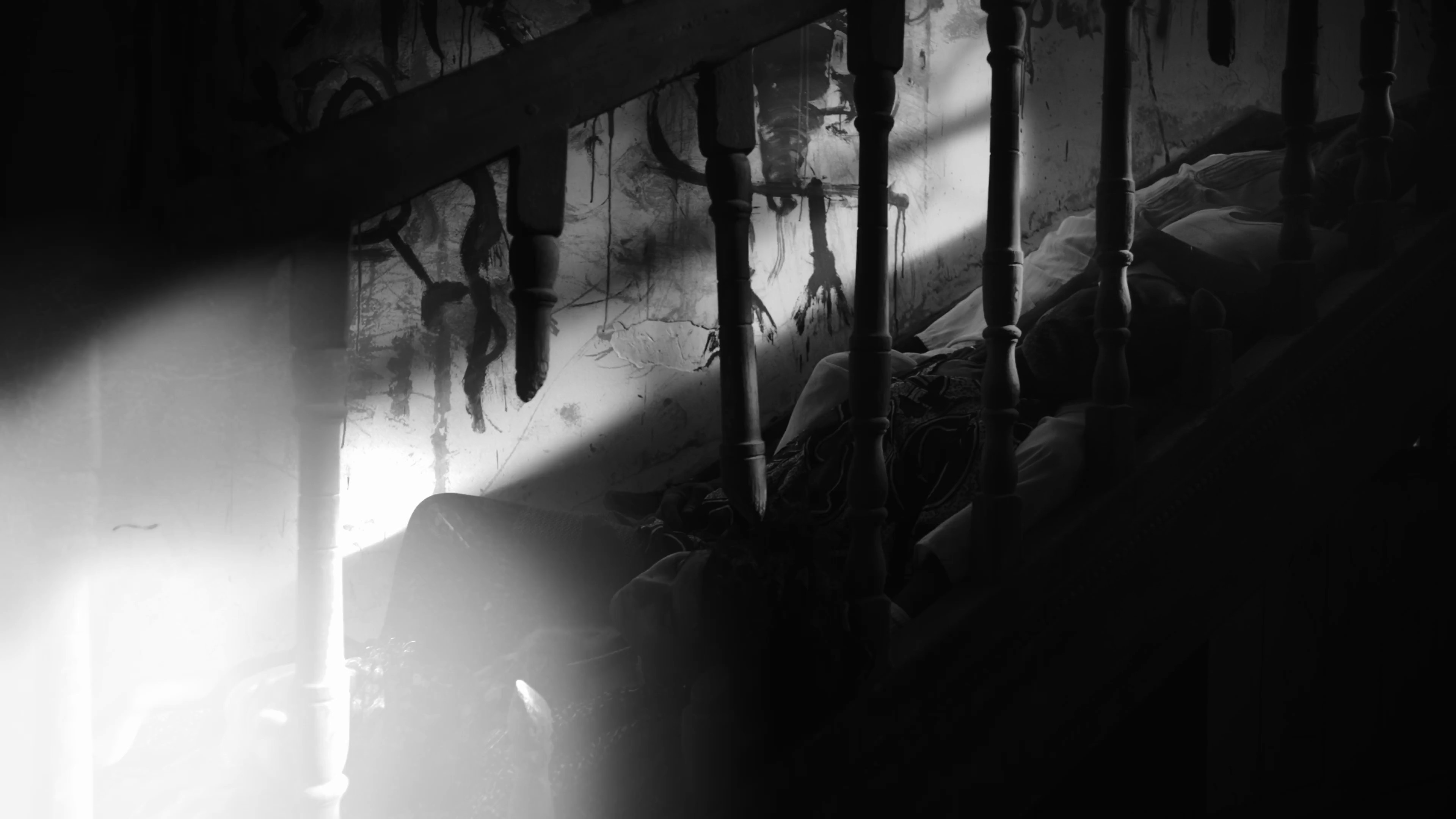 M9AWDA (2022) —  shot,  lighting