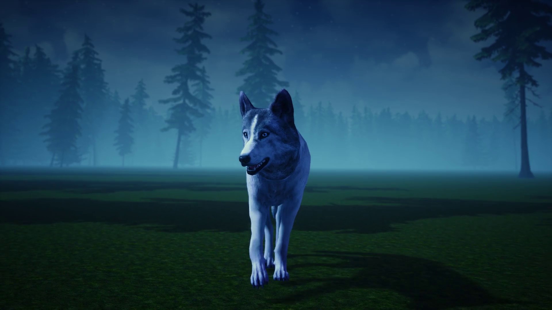 Fangs Out (2018) —  shot,  lighting