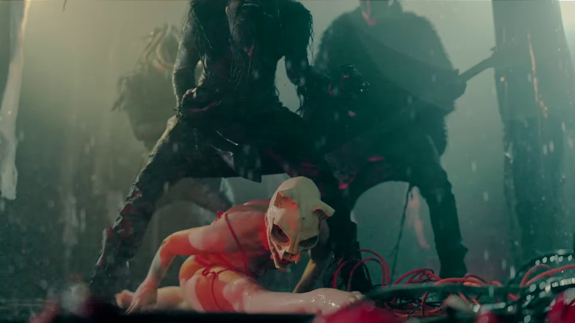 Kitty Girl  (2022) —  shot,  lighting