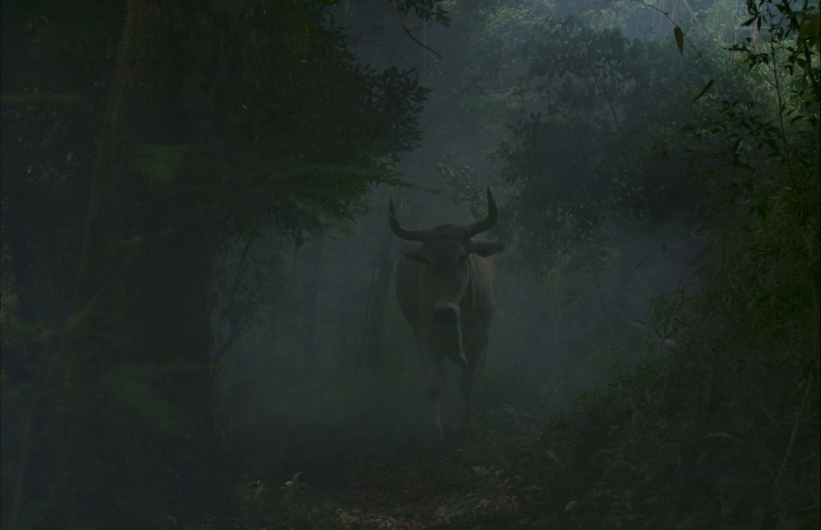 To Kill the Beast (2022) —  shot,  lighting