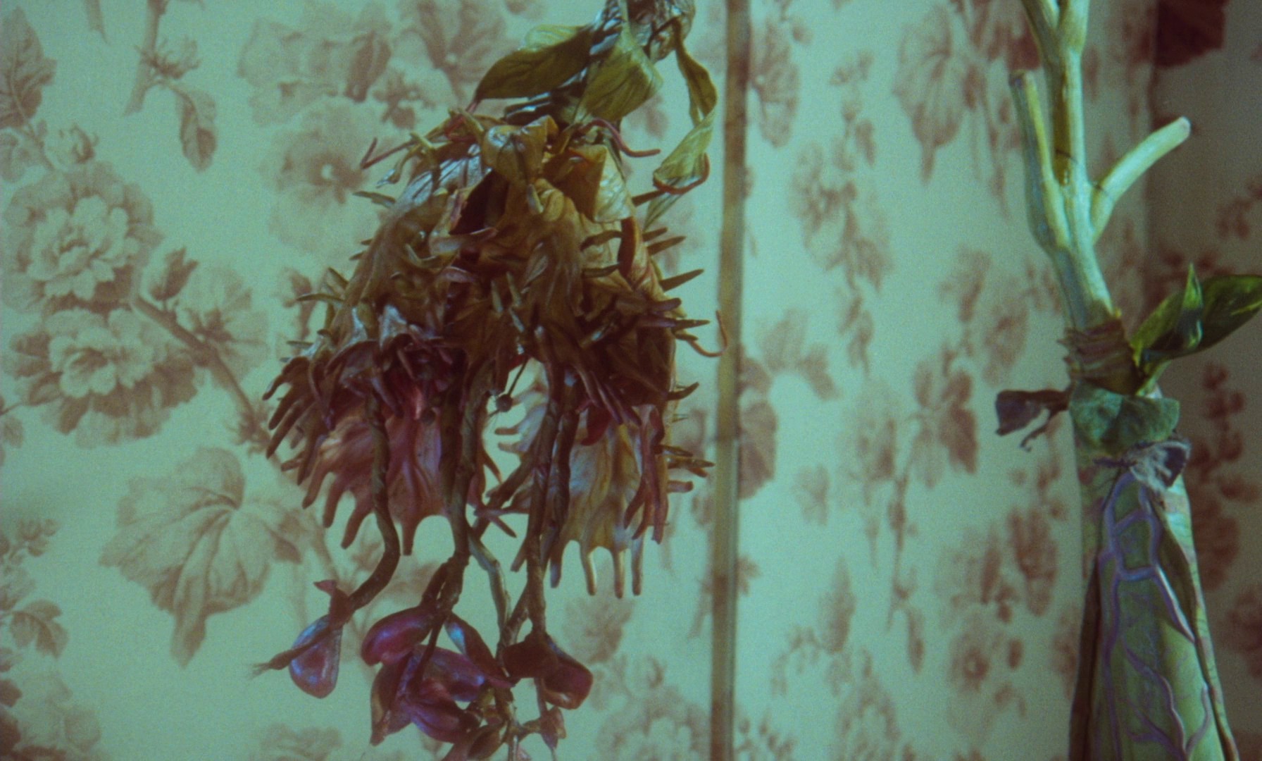 Adela Has Not Had Supper Yet (1978) —  shot,  lighting